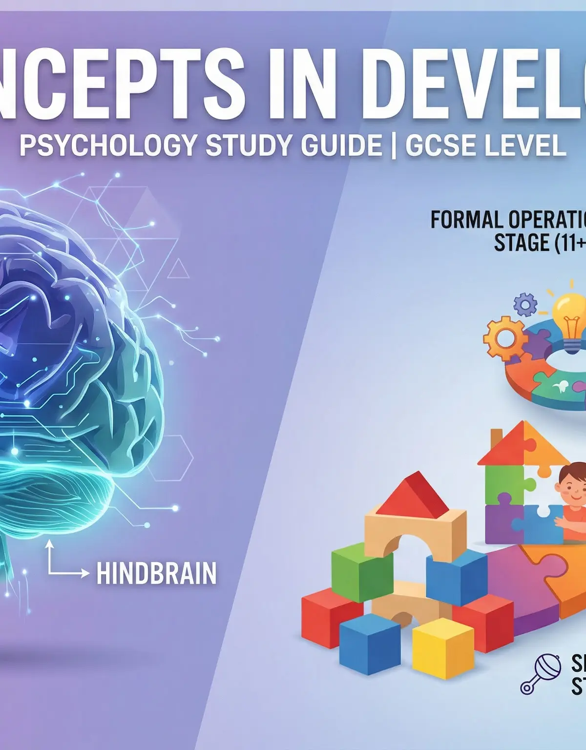 Header image for Key Concepts in Development
