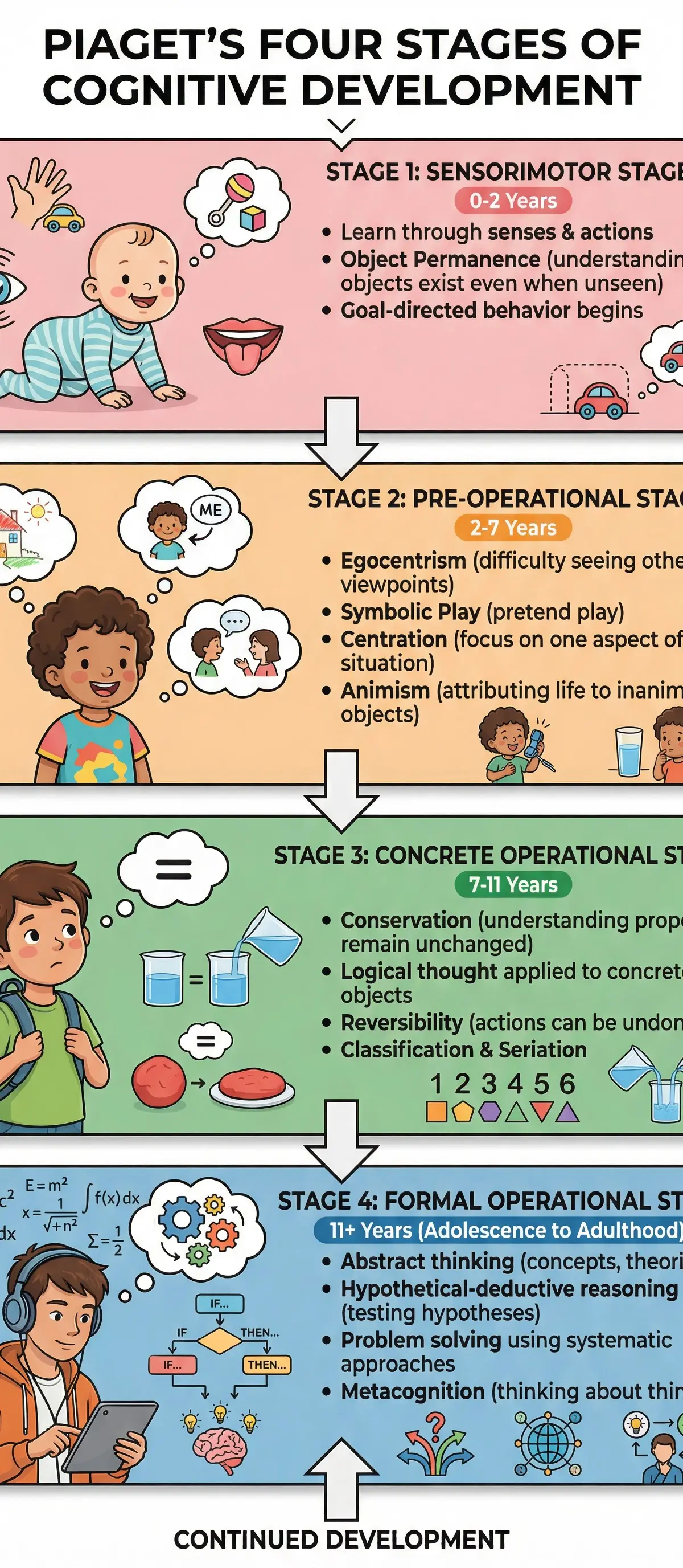 Piaget's Four Stages of Cognitive Development