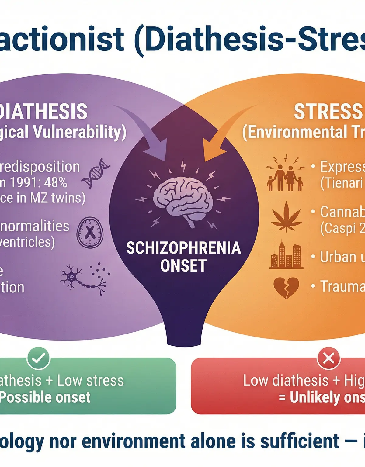 The Interactionist (Diathesis-Stress) Model