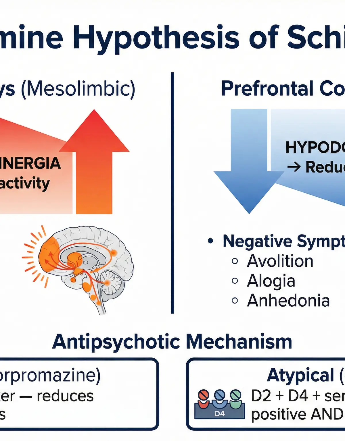 The Revised Dopamine Hypothesis of Schizophrenia