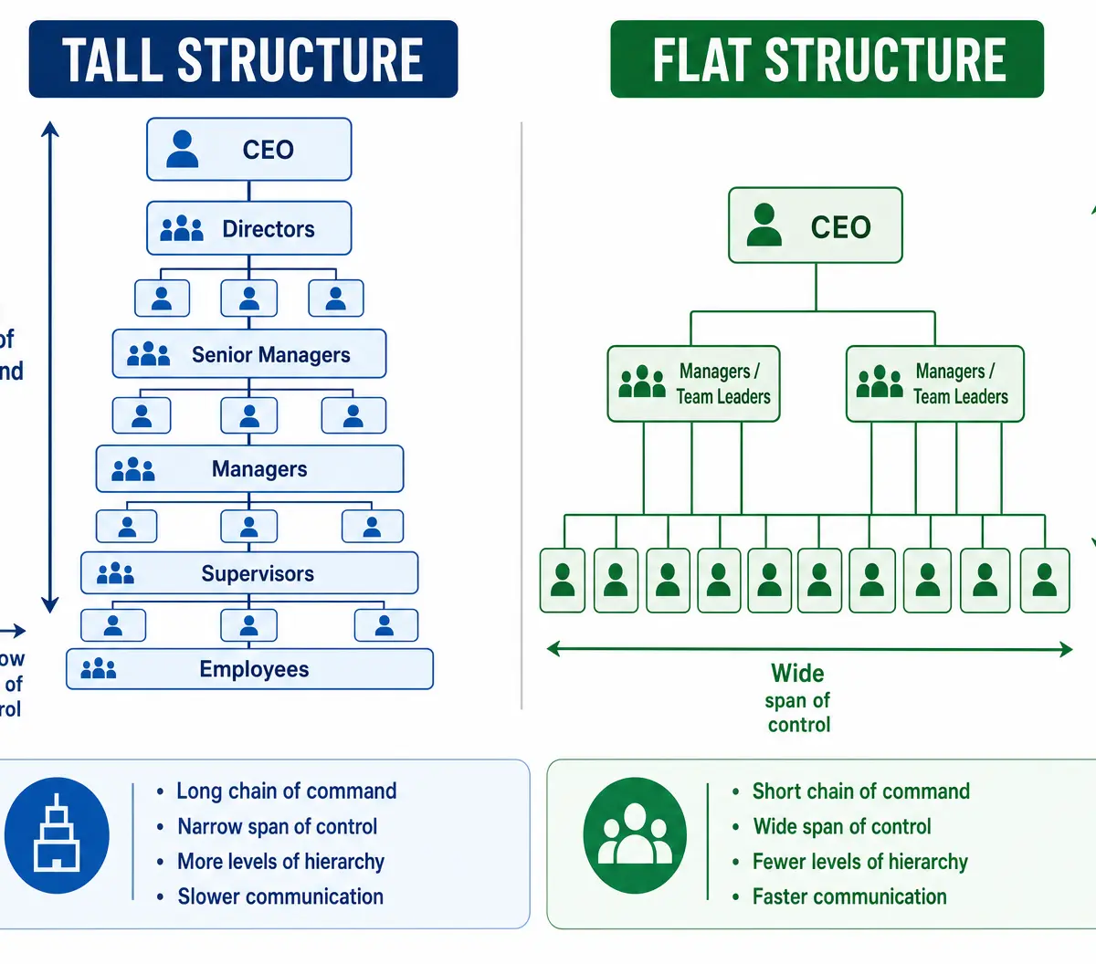 Comparison of Tall vs Flat Organisational Structures