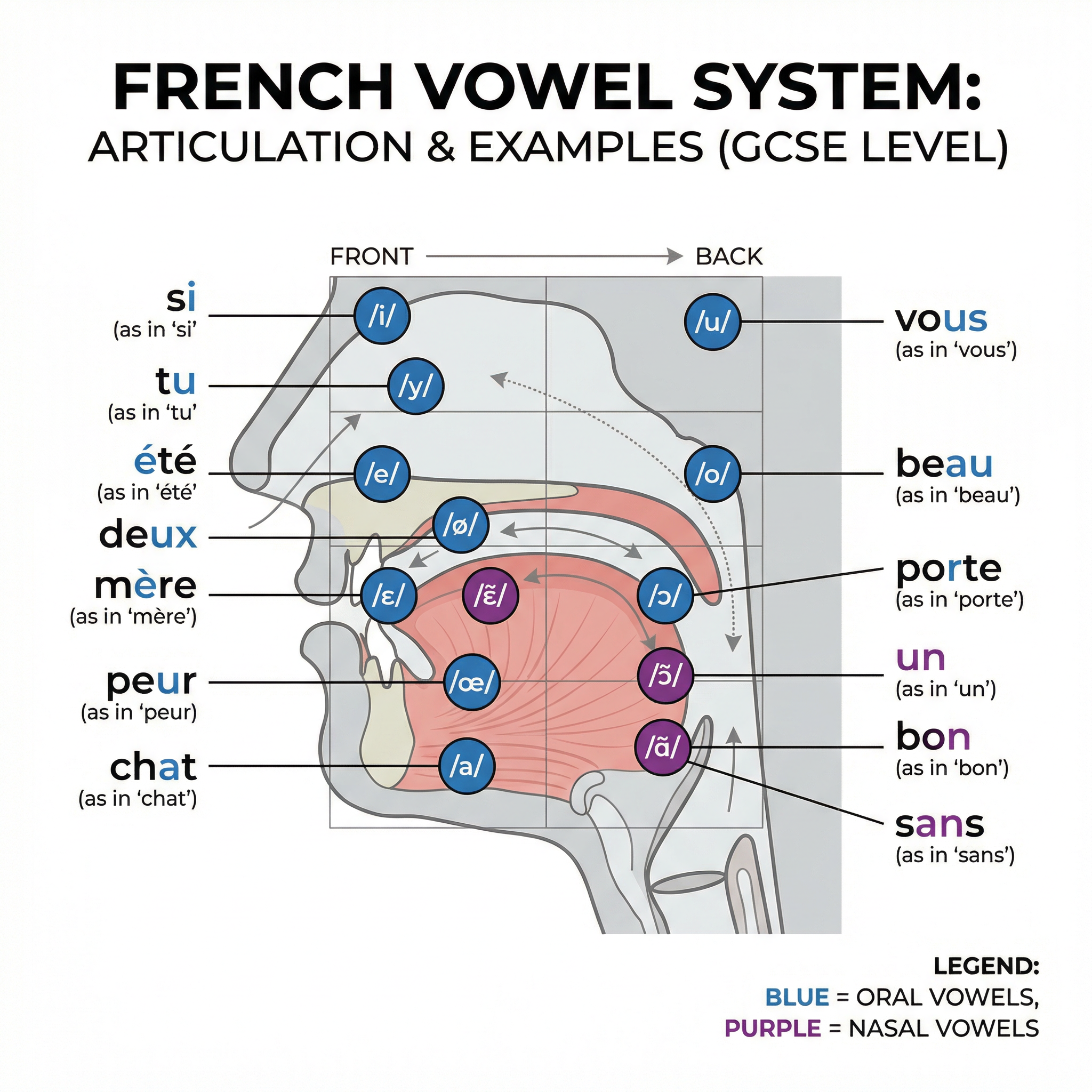 French Vowel System: Articulation and Examples