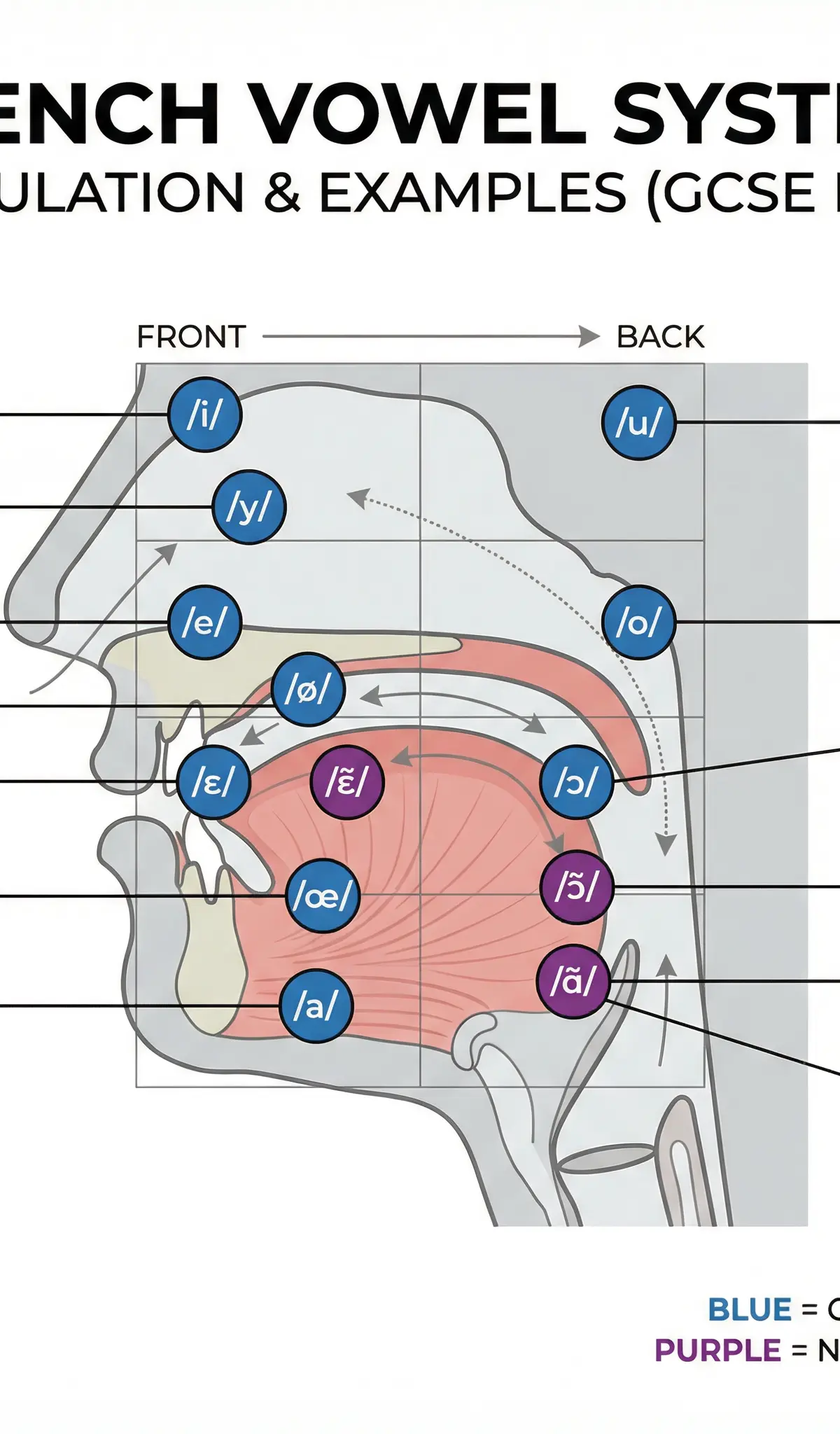 French Vowel System: Articulation and Examples