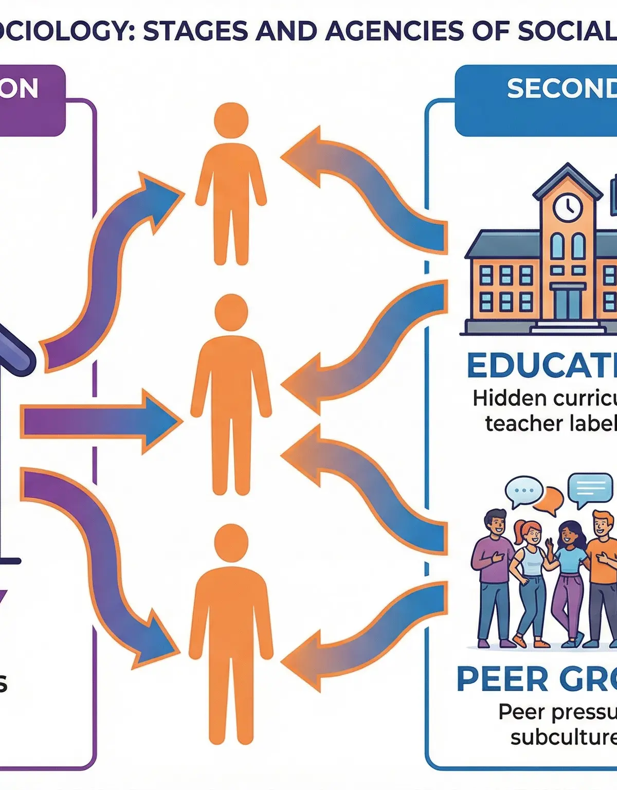 Primary vs Secondary Socialisation Agencies