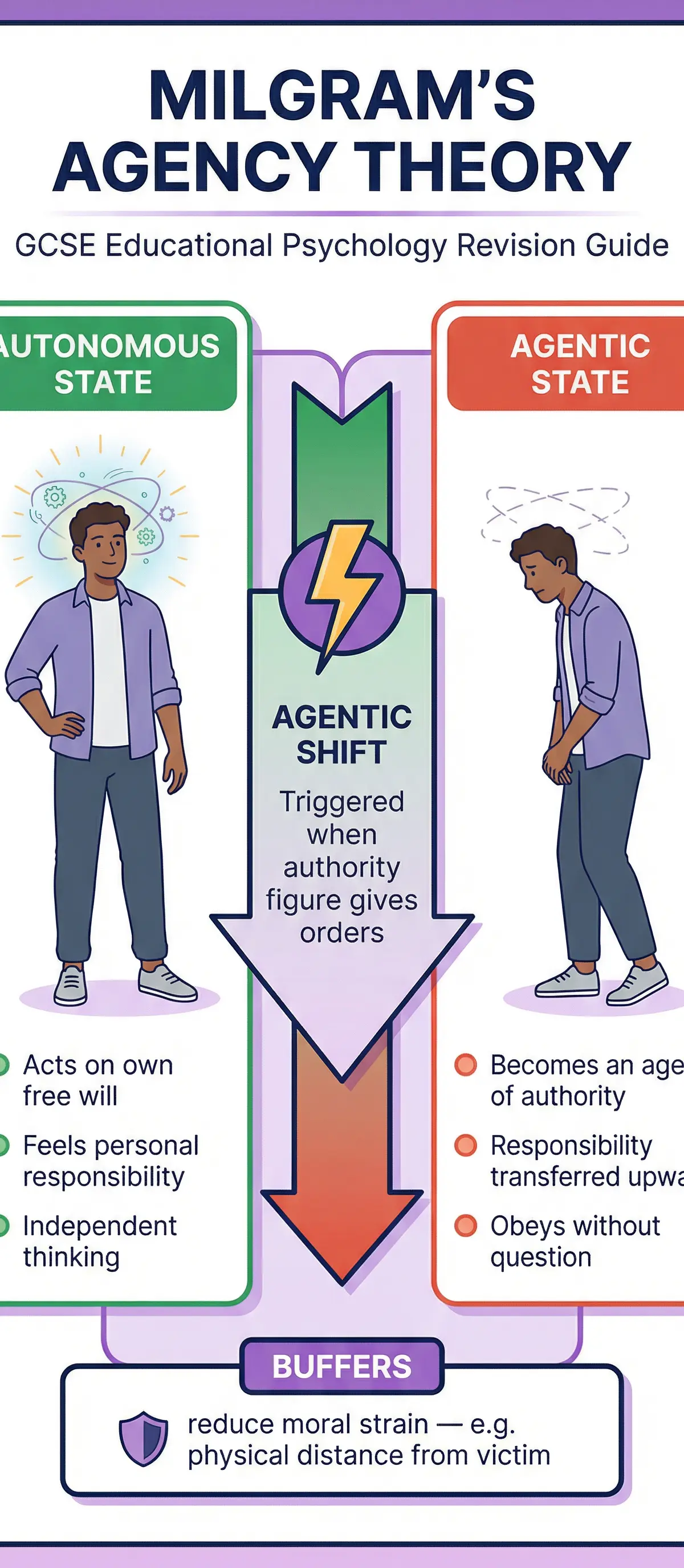 Visual guide to Milgram's Agency Theory.
