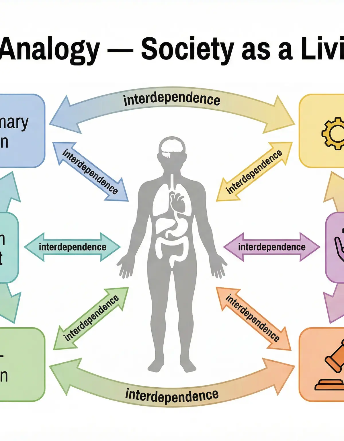 The Organic Analogy: Society as a Living Organism