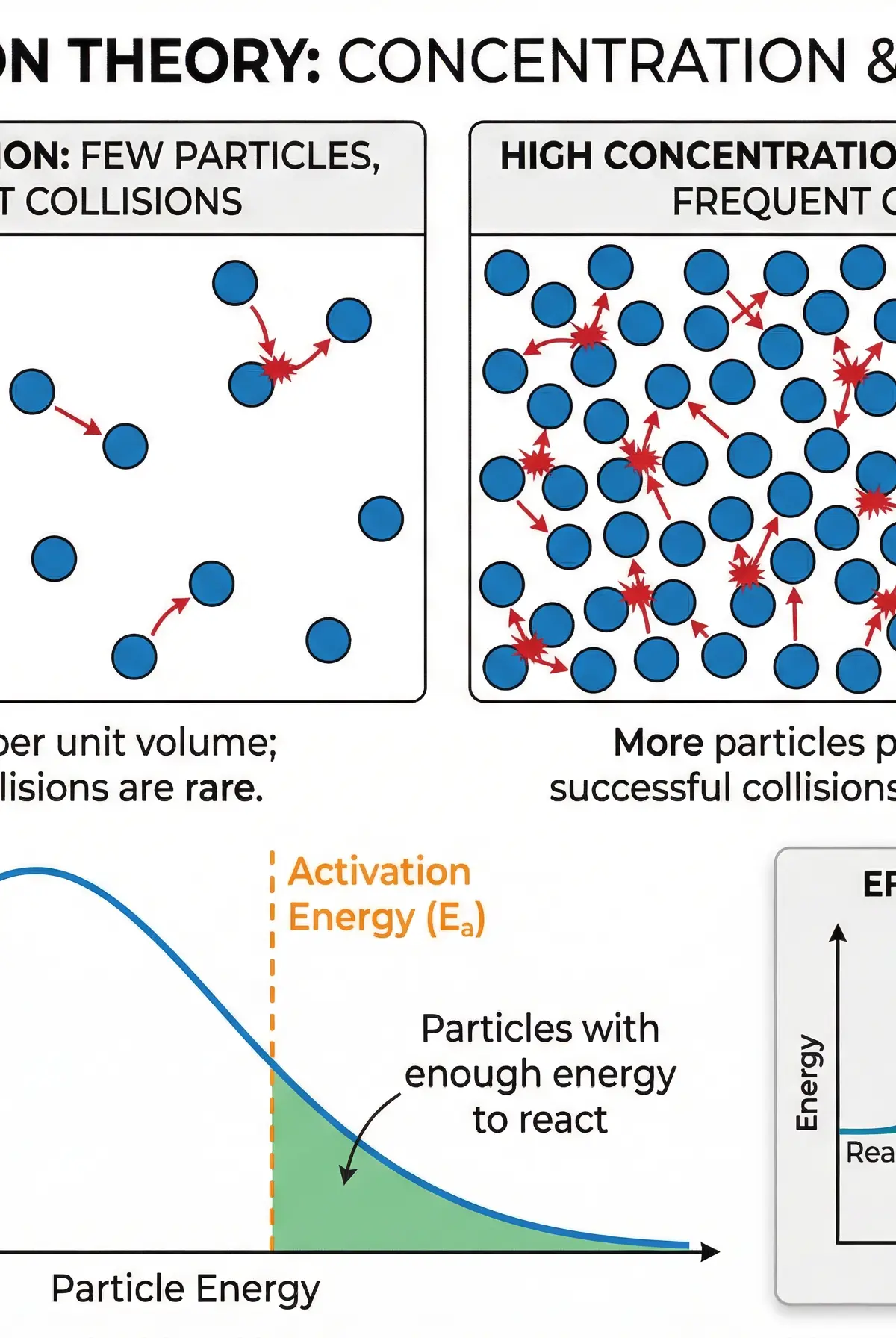 Collision Theory and Activation Energy