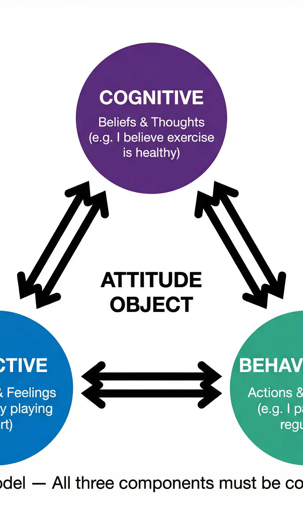 The Triadic (CAB) Model of Attitudes.