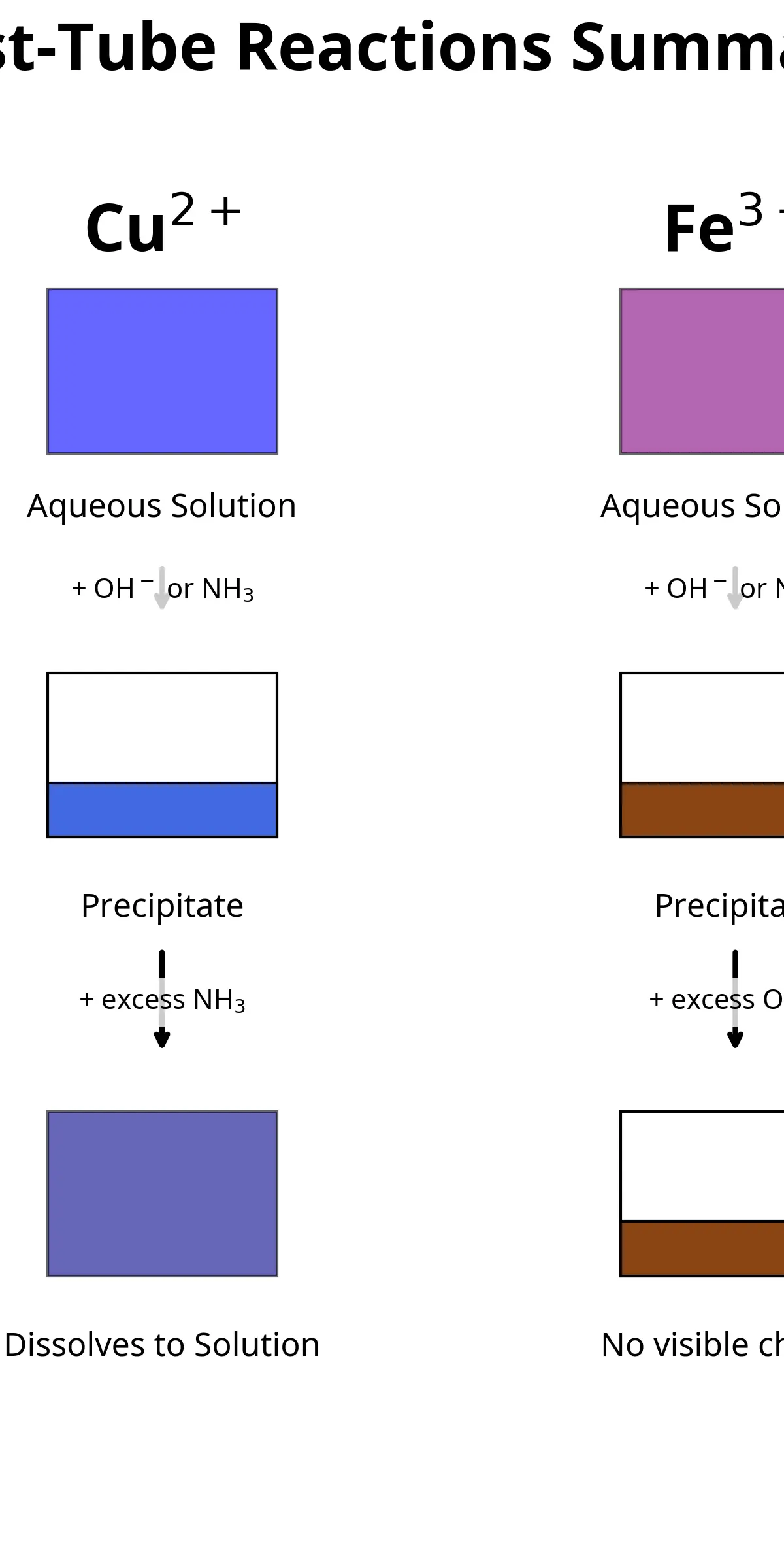 Test-tube reaction observations required for ion identification.