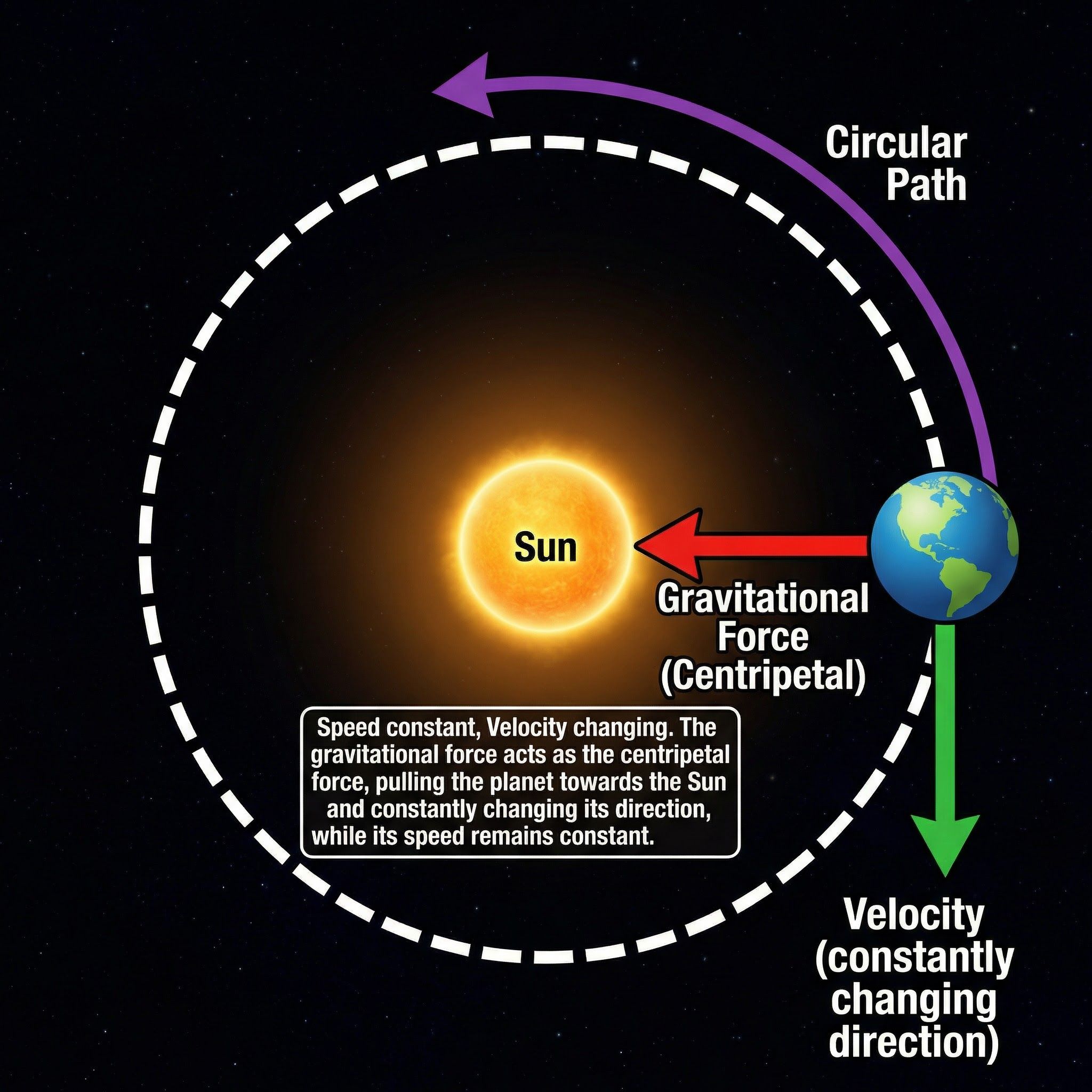 Physics of orbital motion: Gravity provides the centripetal force, causing constant acceleration due to changing velocity.