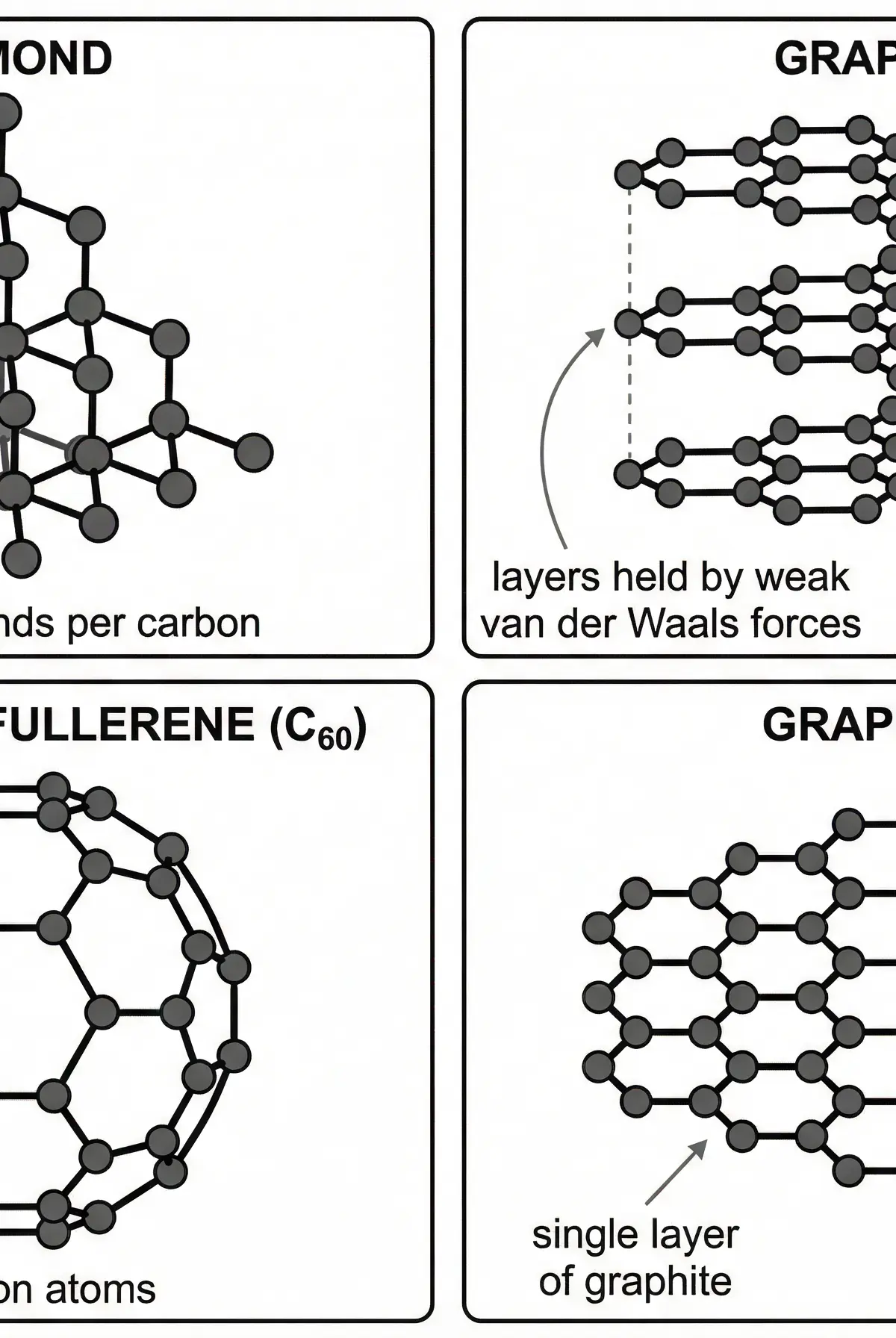The Allotropes of Carbon