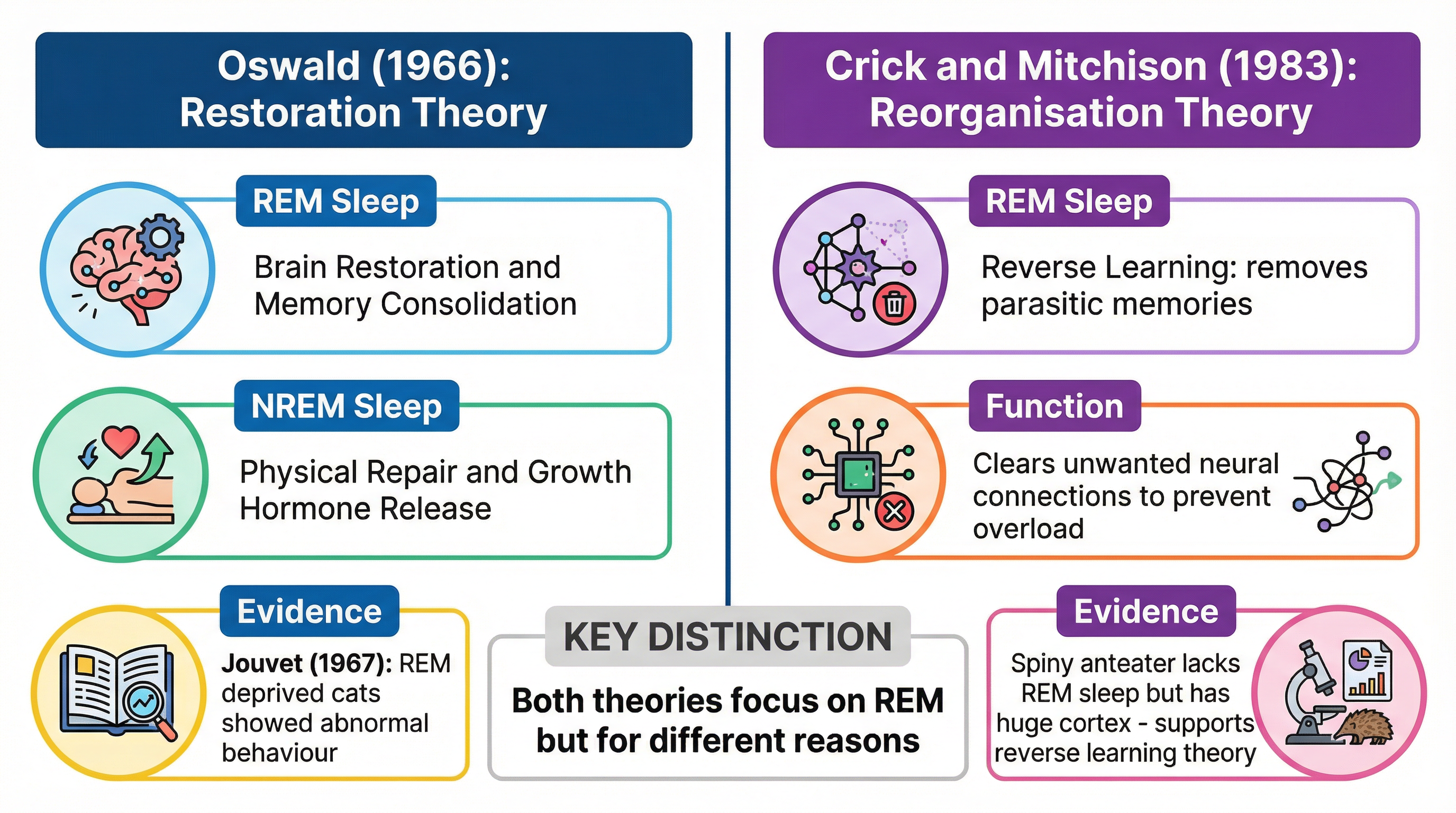 Oswald vs Crick and Mitchison: Comparing the two major theories of sleep function