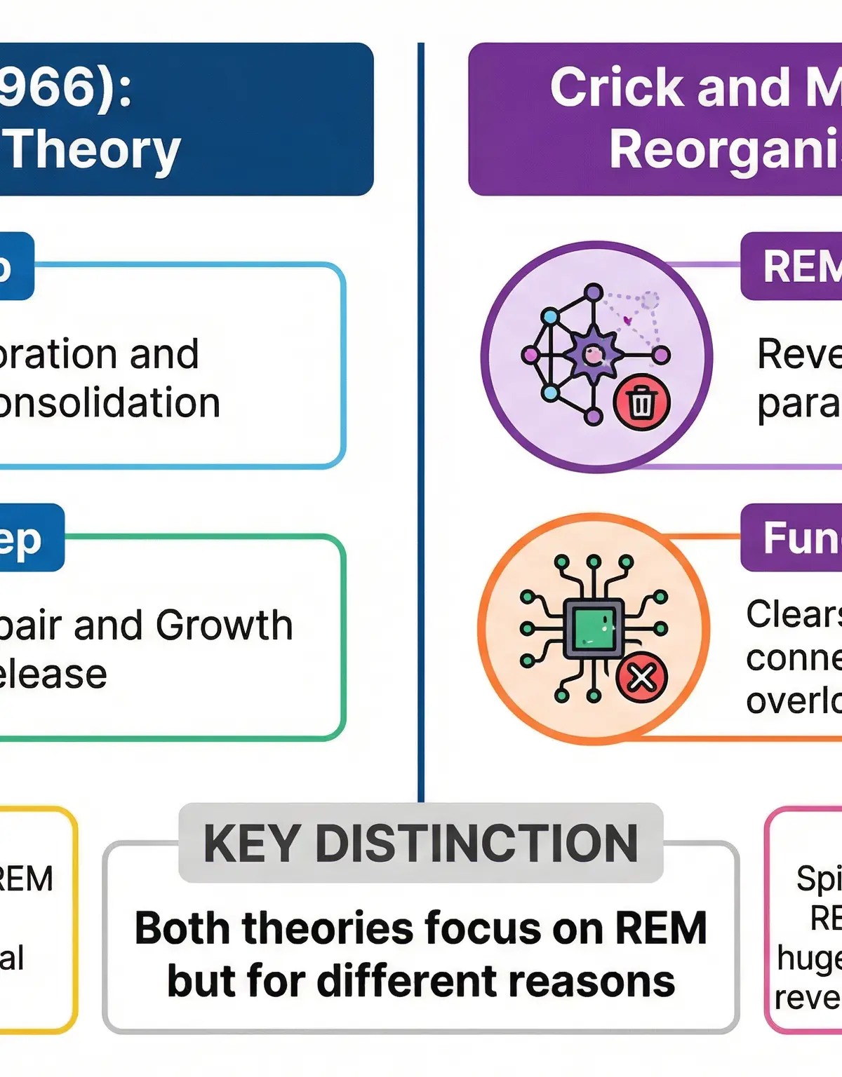 Oswald vs Crick and Mitchison: Comparing the two major theories of sleep function