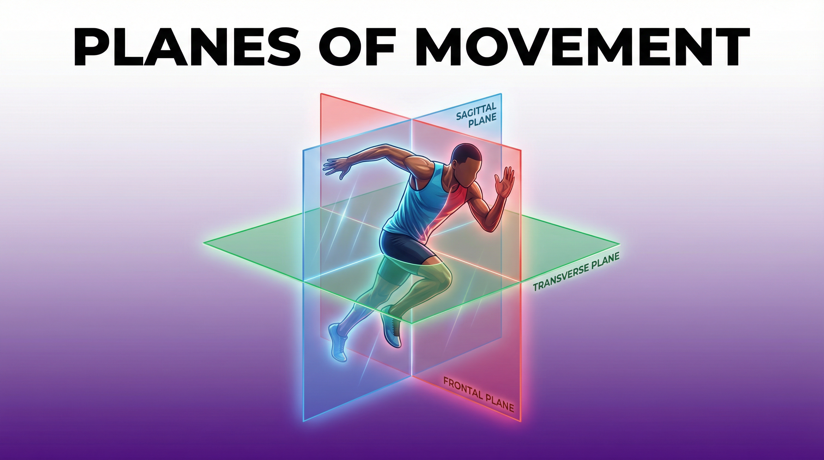 Planes of Movement: Sagittal, Frontal, Transverse – Physical Education – GCSE