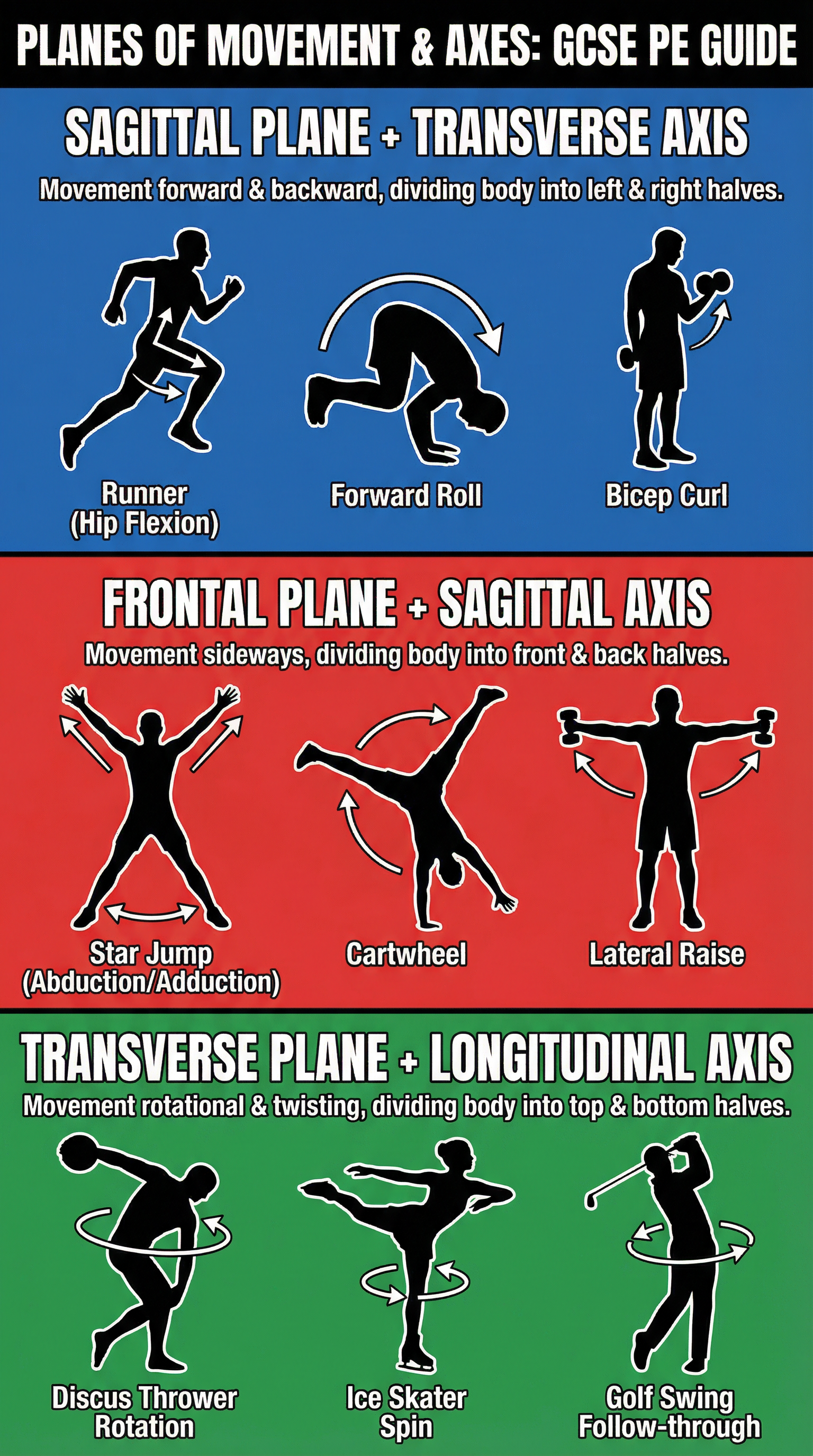 Planes of Movement: Sagittal, Frontal, Transverse – Physical Education – GCSE
