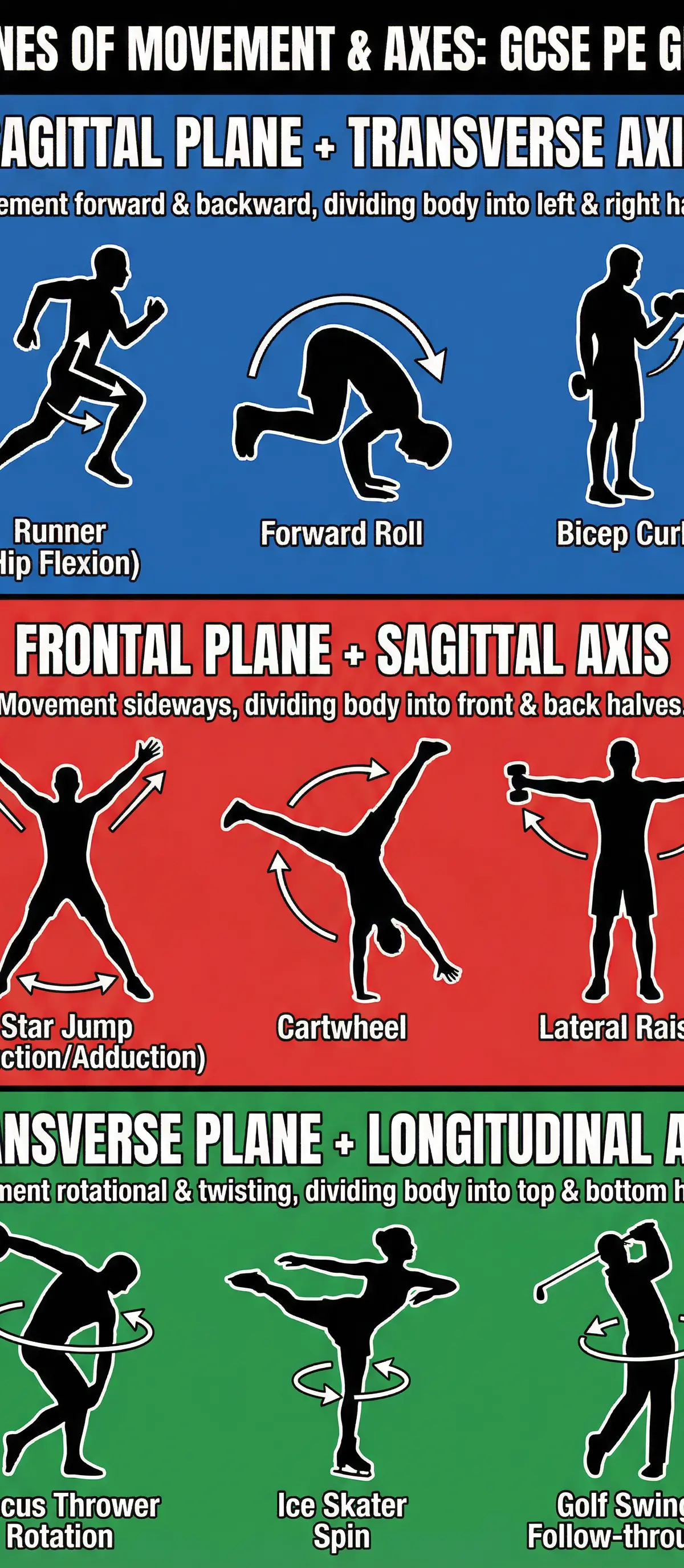 Planes of Movement: Sagittal, Frontal, Transverse โ Physical Education โ GCSE