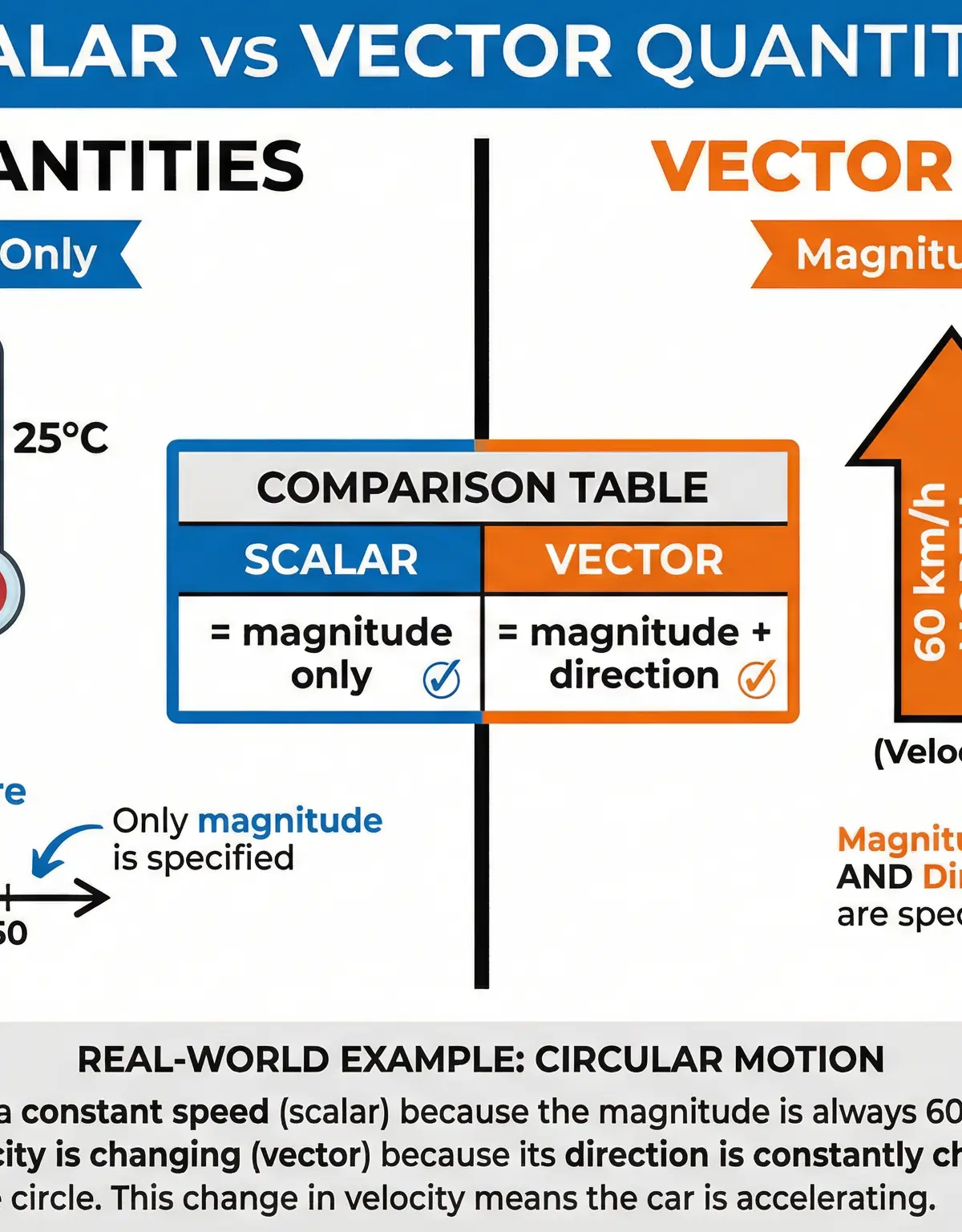 Scalar vs Vector Quantities in GCSE Physics