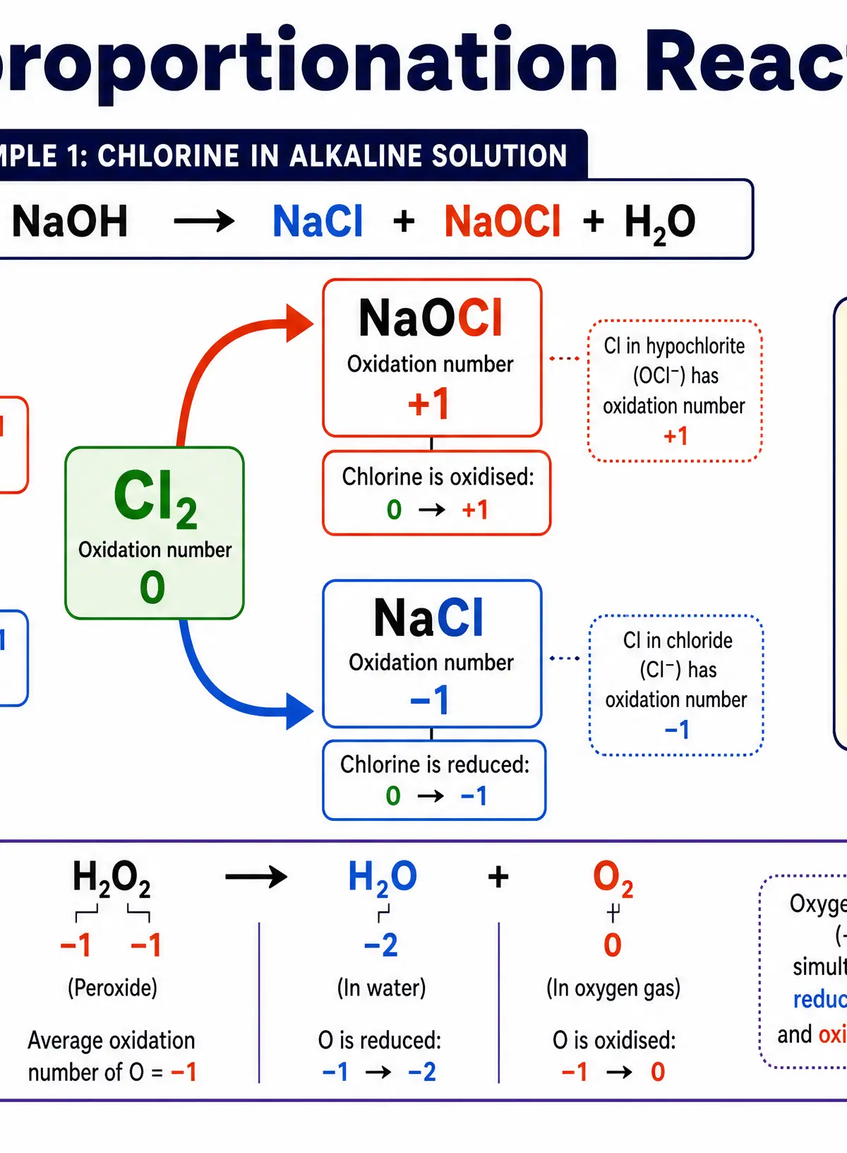 Understanding disproportionation reactions.