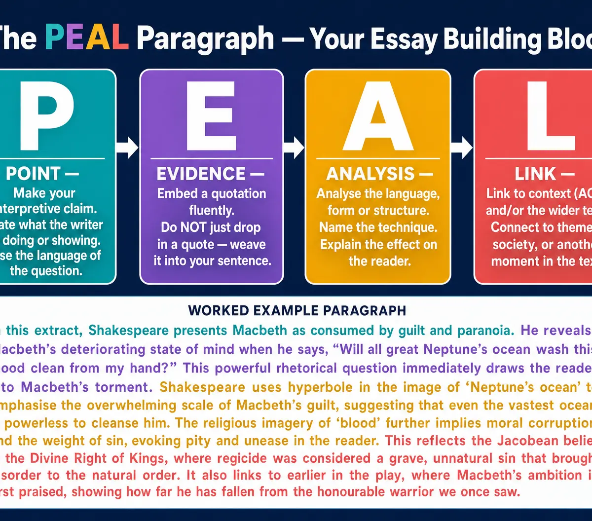 The PEAL Paragraph Structure