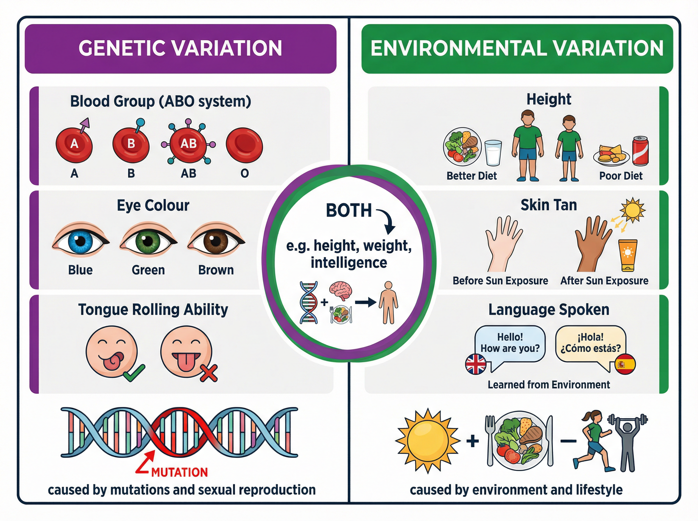 Types of Variation