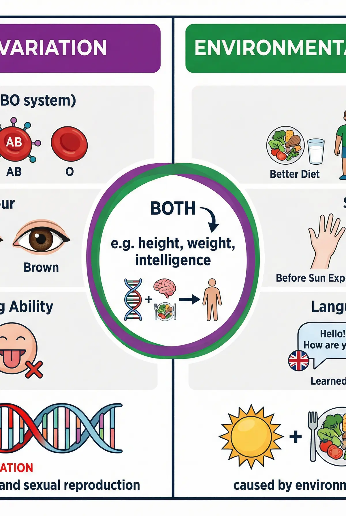 Types of Variation