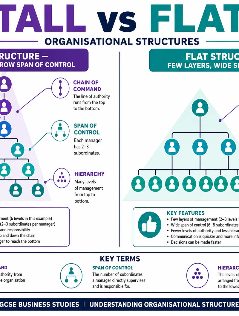 Tall vs Flat Organisational Structures