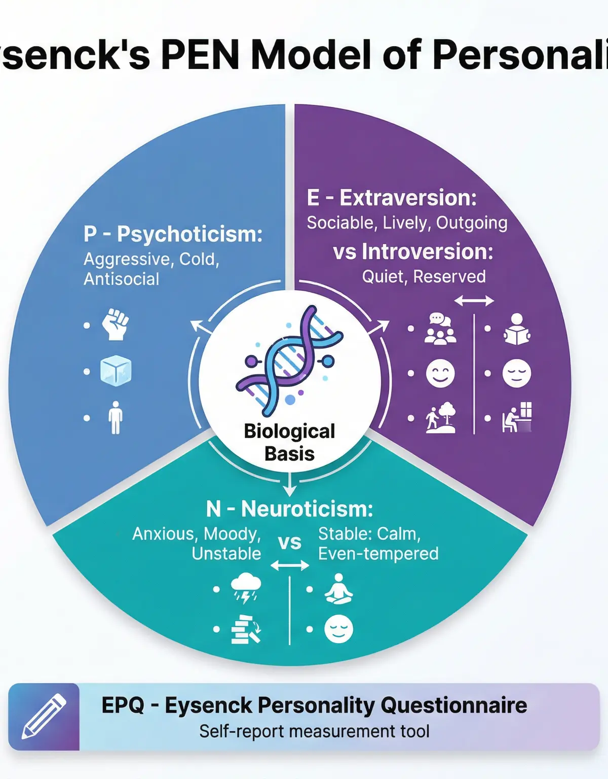 Eysenck's PEN Model of Personality — Biological Dimensions and Evaluation