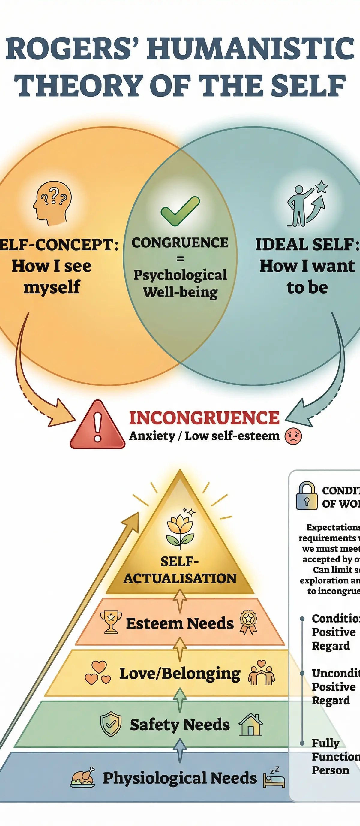 Rogers' Humanistic Theory of the Self — Congruence, Incongruence, and Self-Actualisation