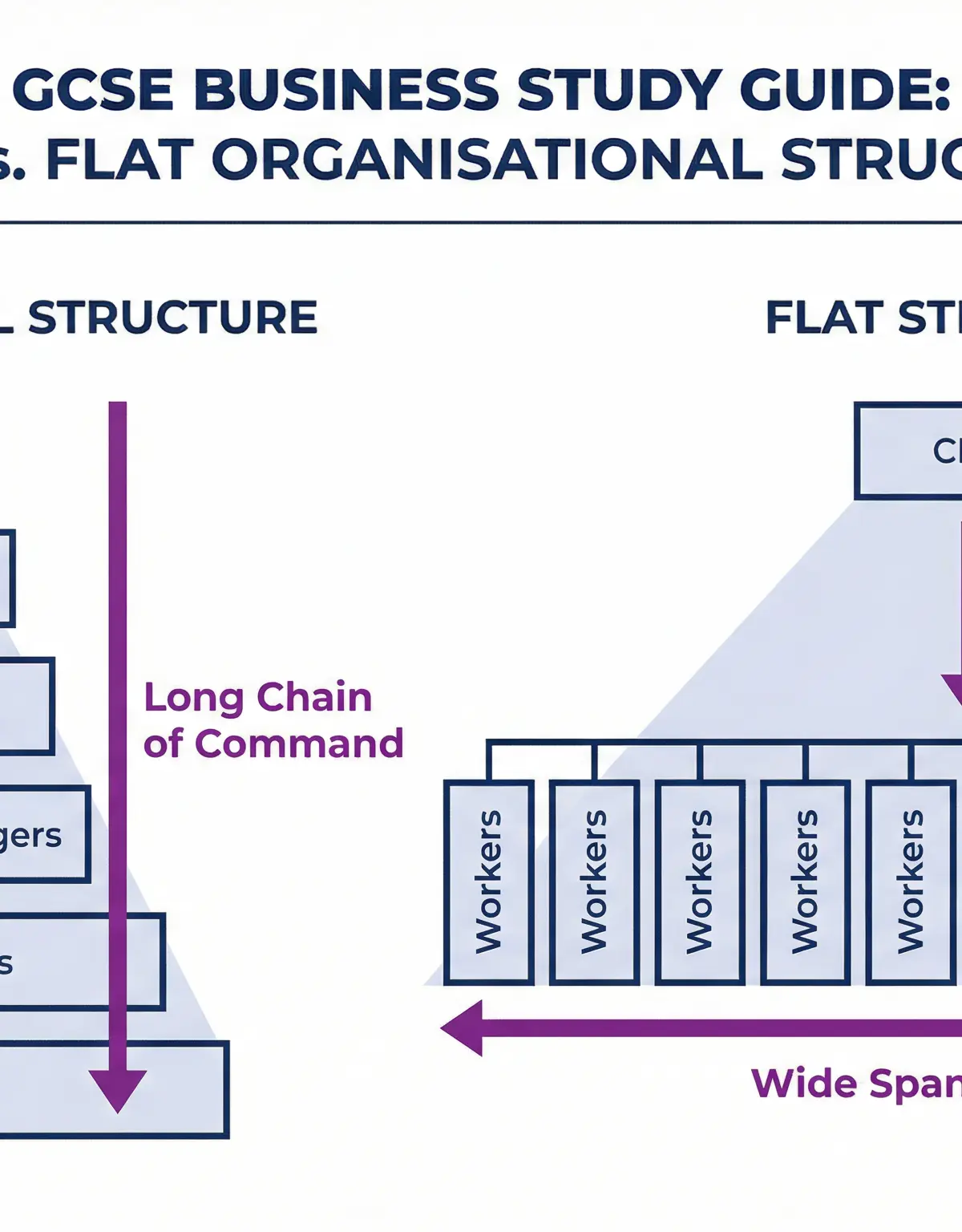 Tall vs. Flat Organisational Structures — key differences in span of control and chain of command