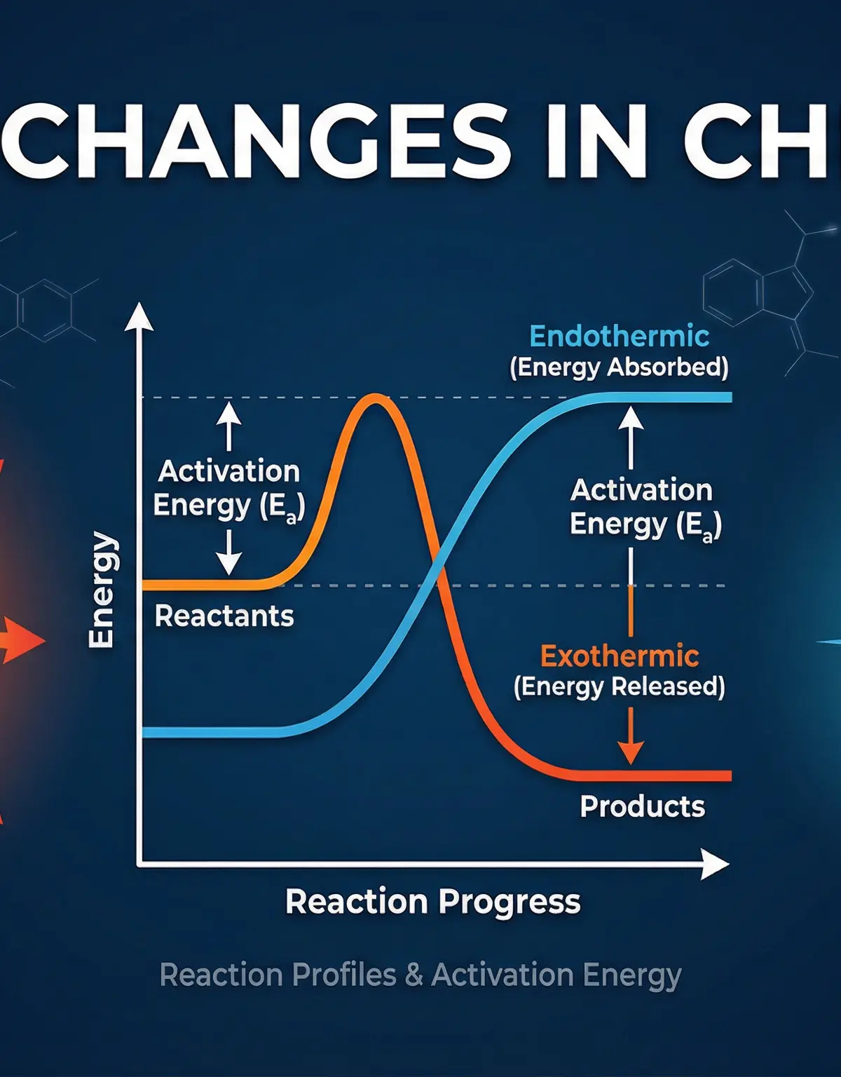 Energy Changes in Chemistry: Exothermic vs Endothermic