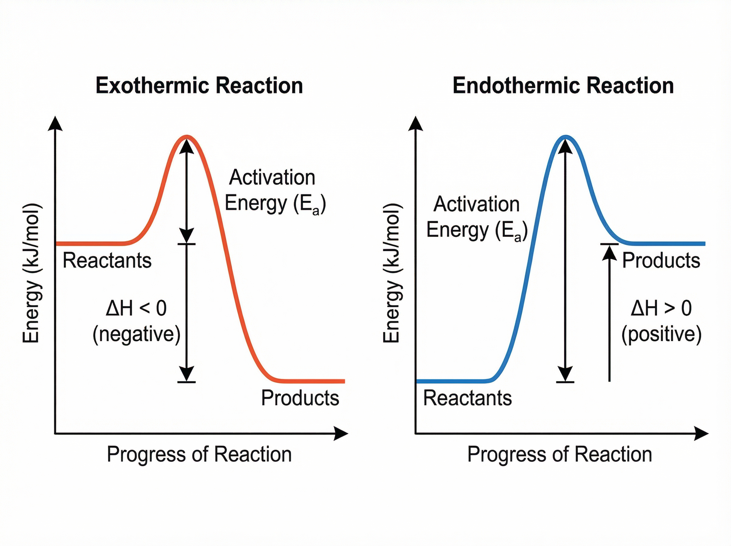 Reaction Profiles