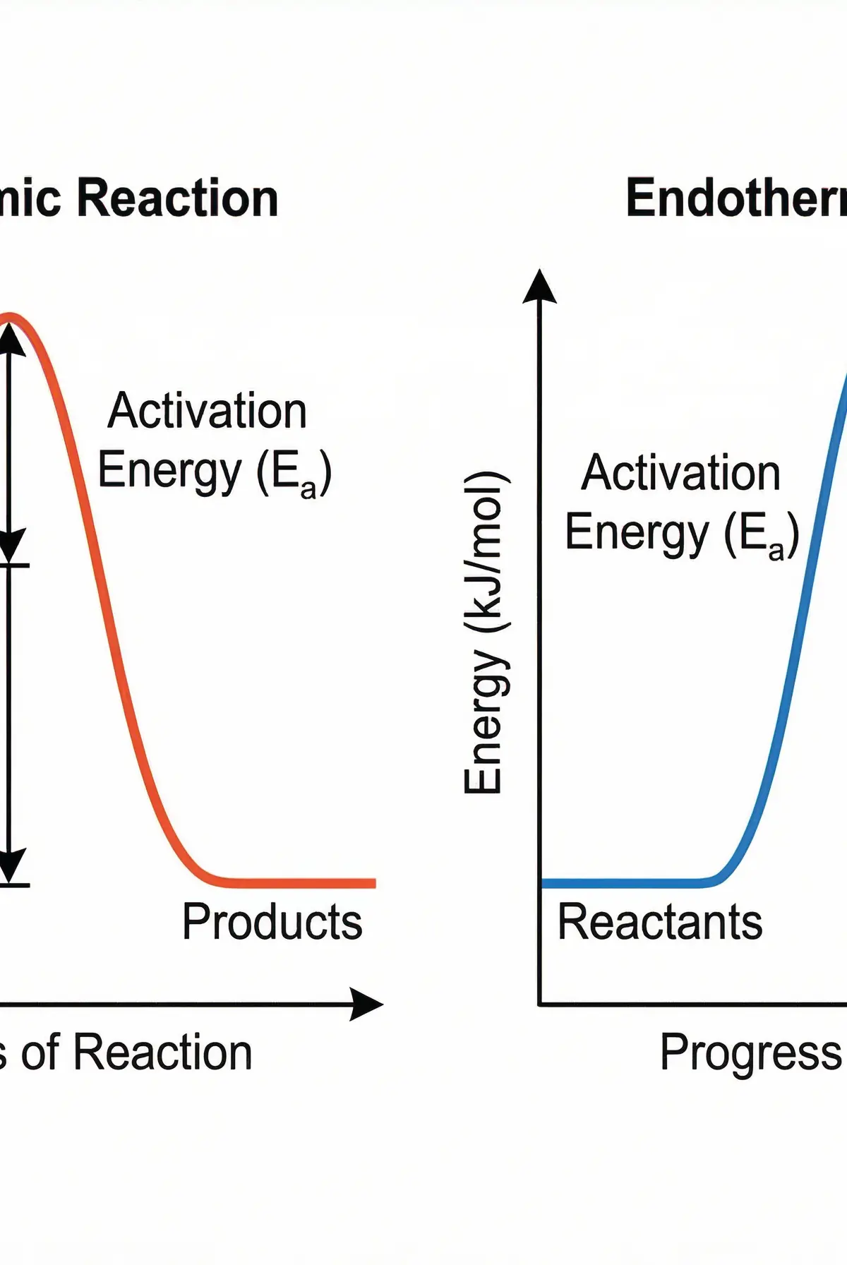 Reaction Profiles