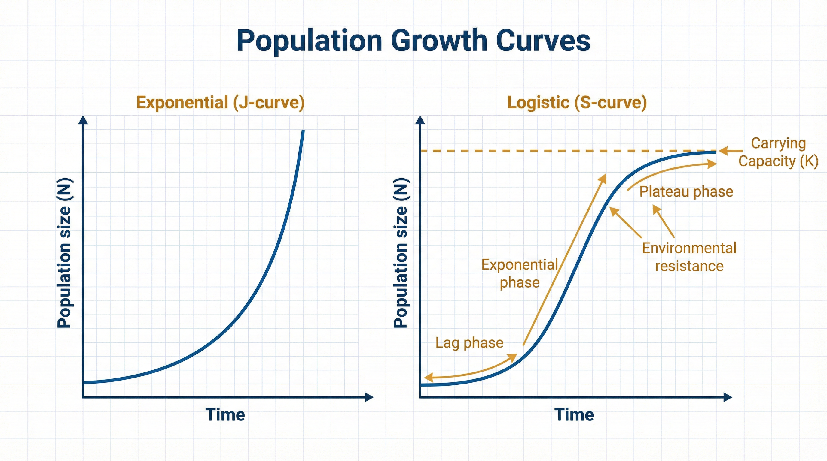Populations – Biology – A-Level