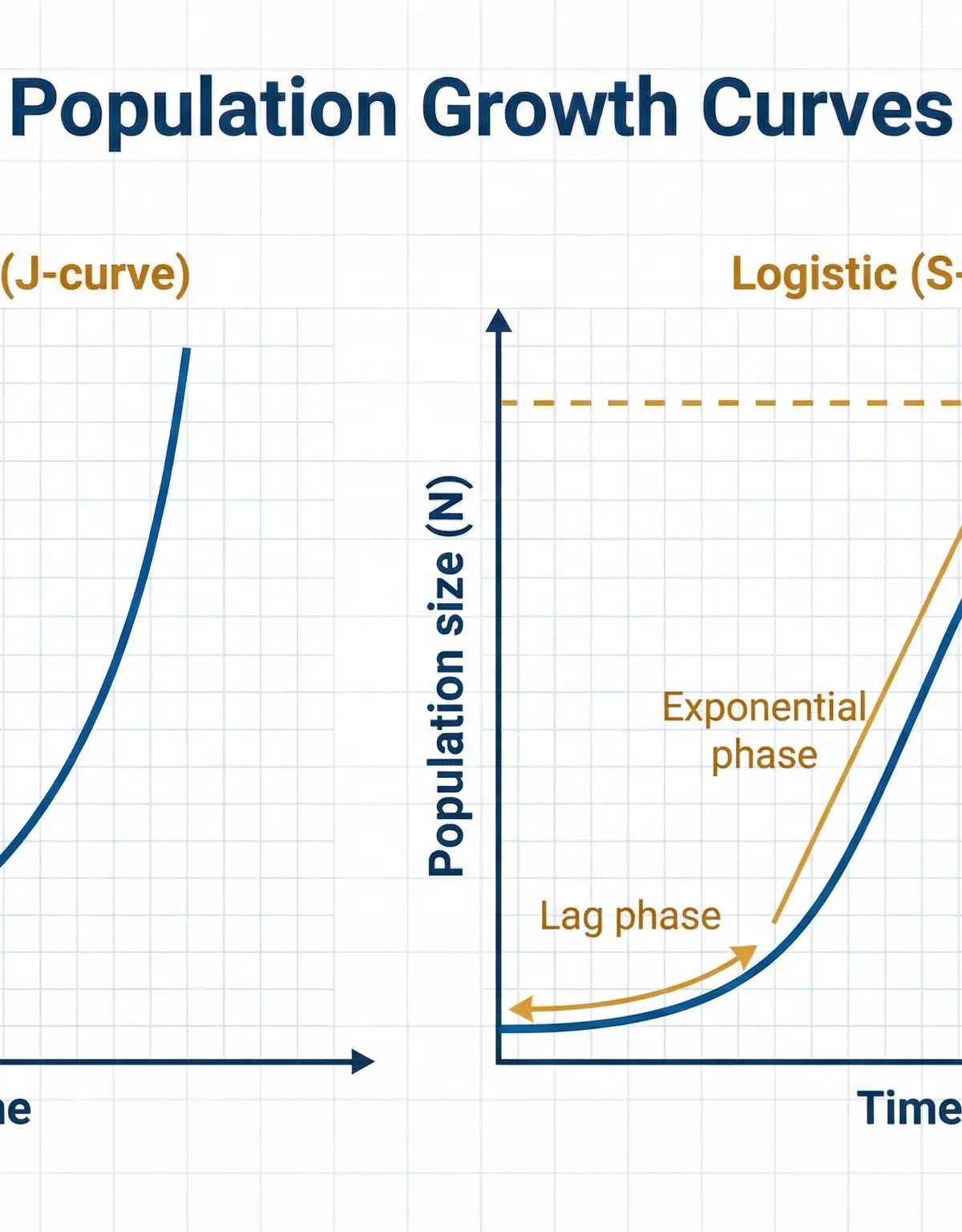 Populations – Biology – A-Level