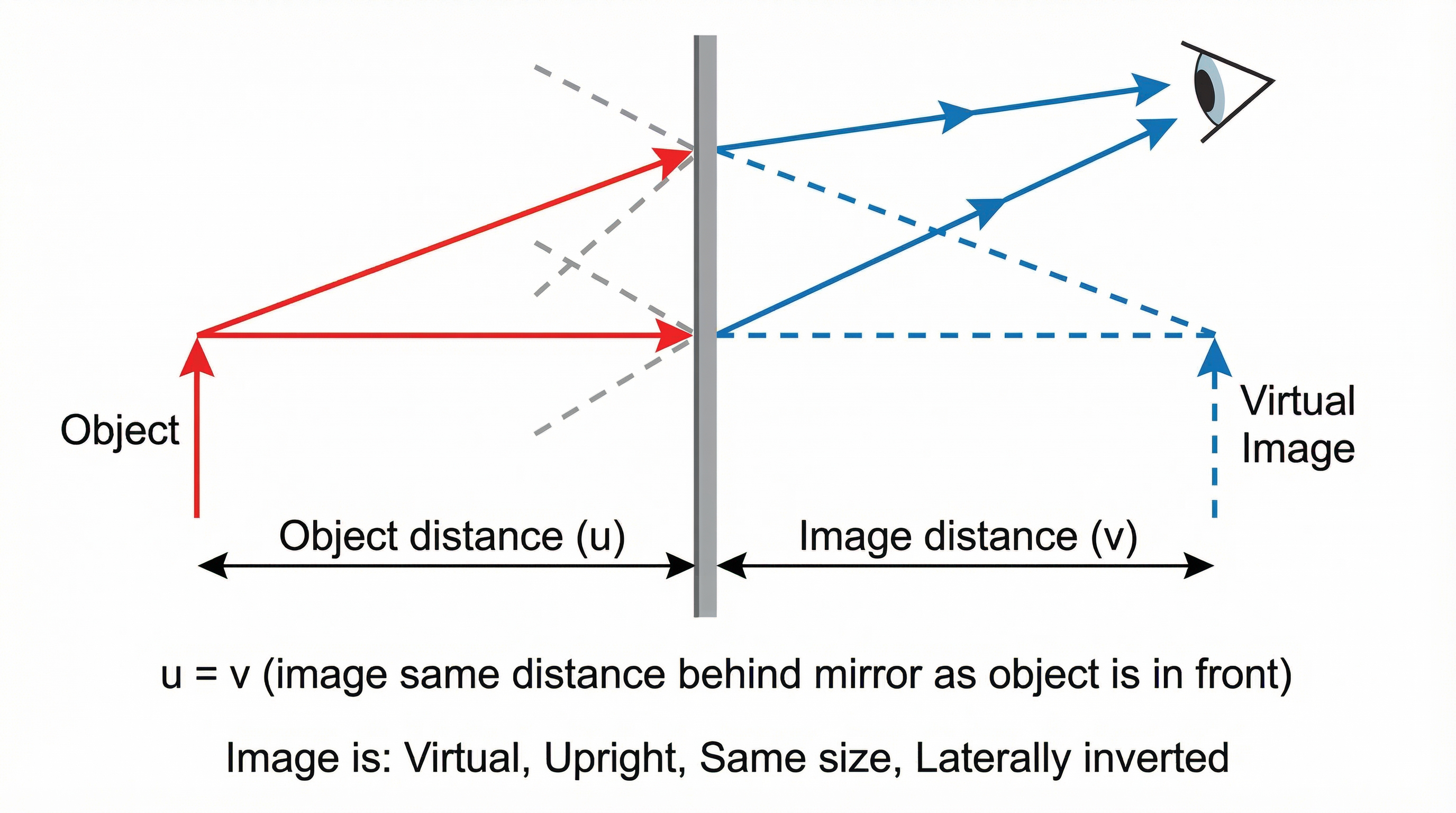 Virtual Image Formation in a Plane Mirror