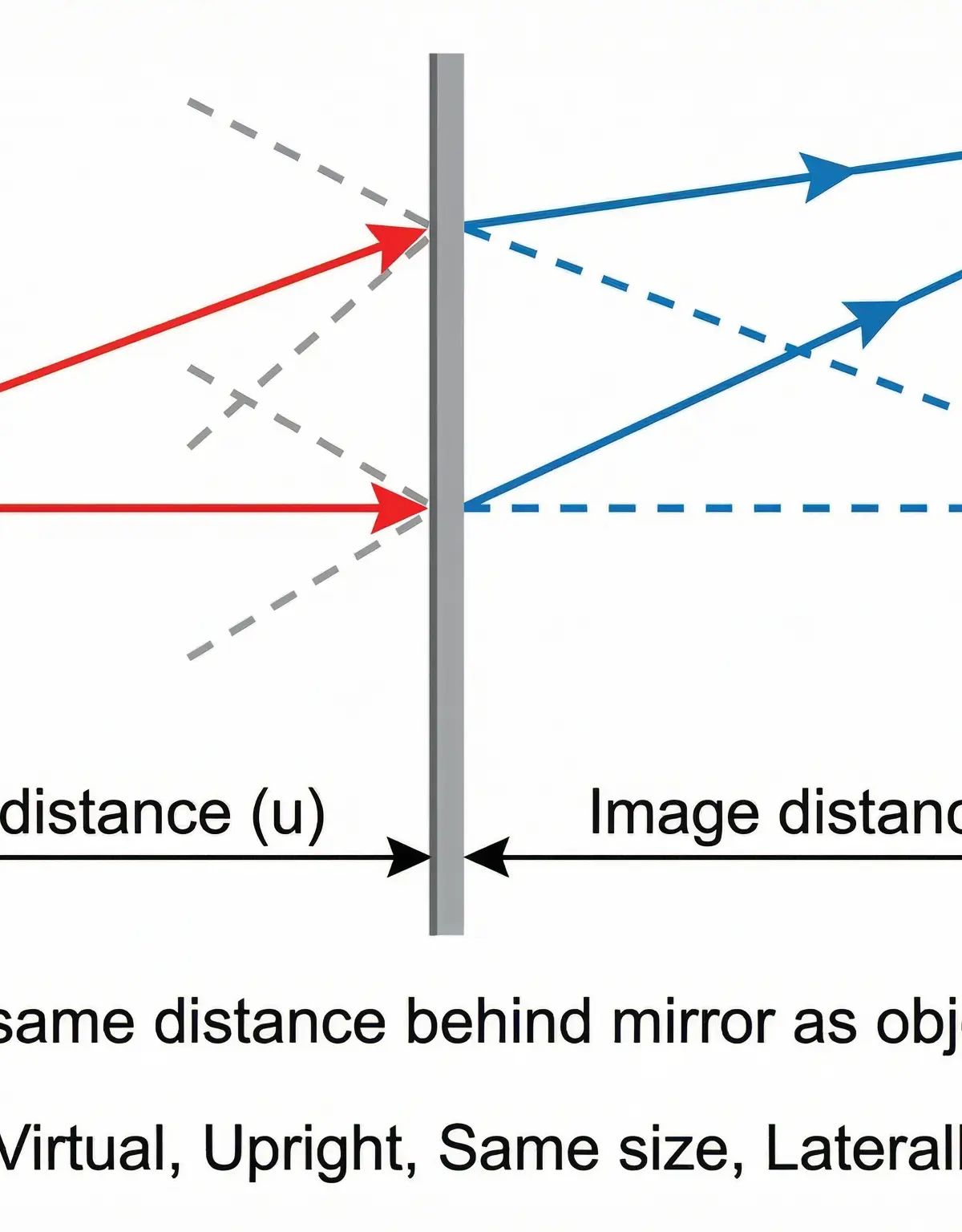 Virtual Image Formation in a Plane Mirror