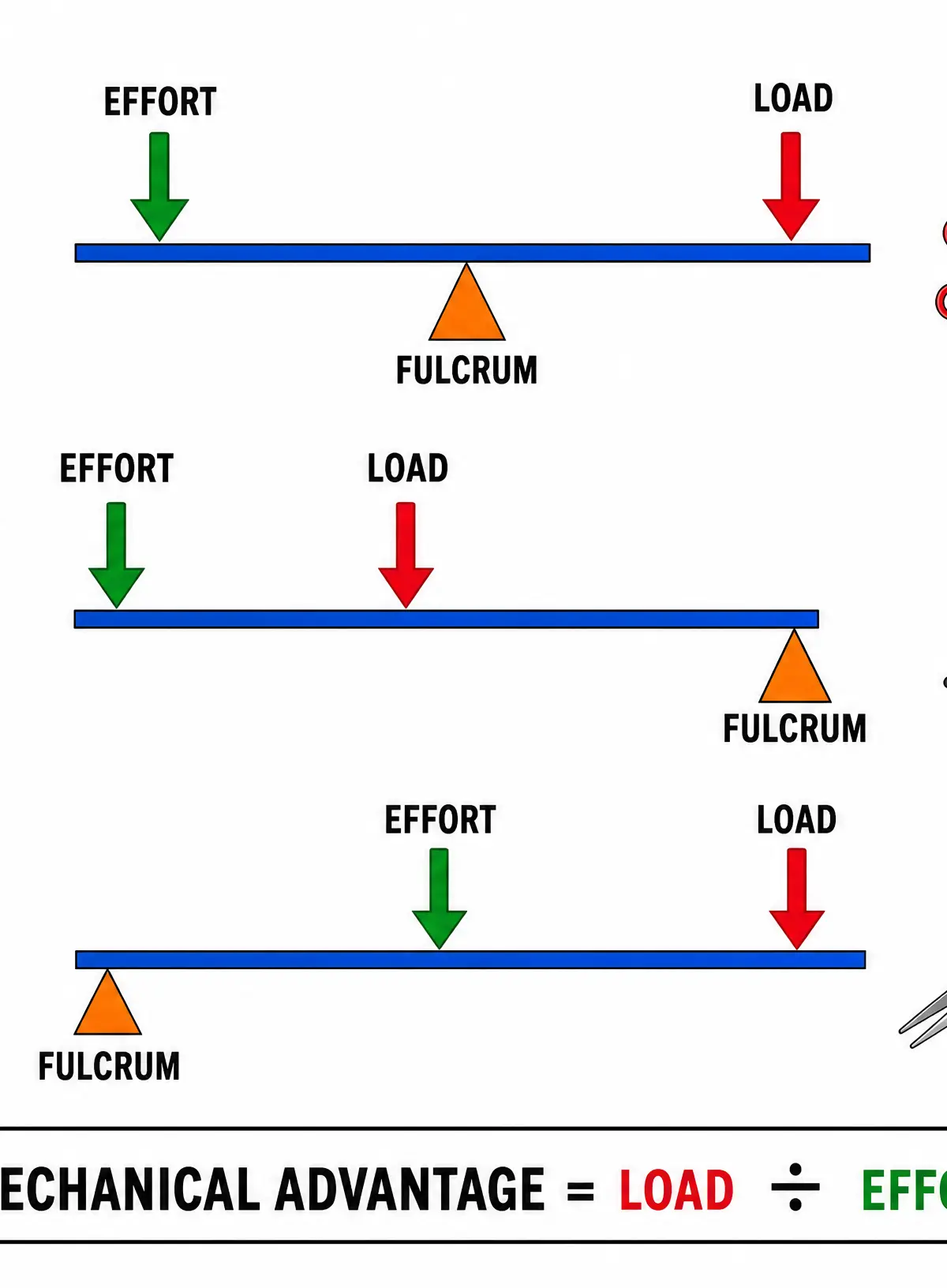 The three classes of levers.