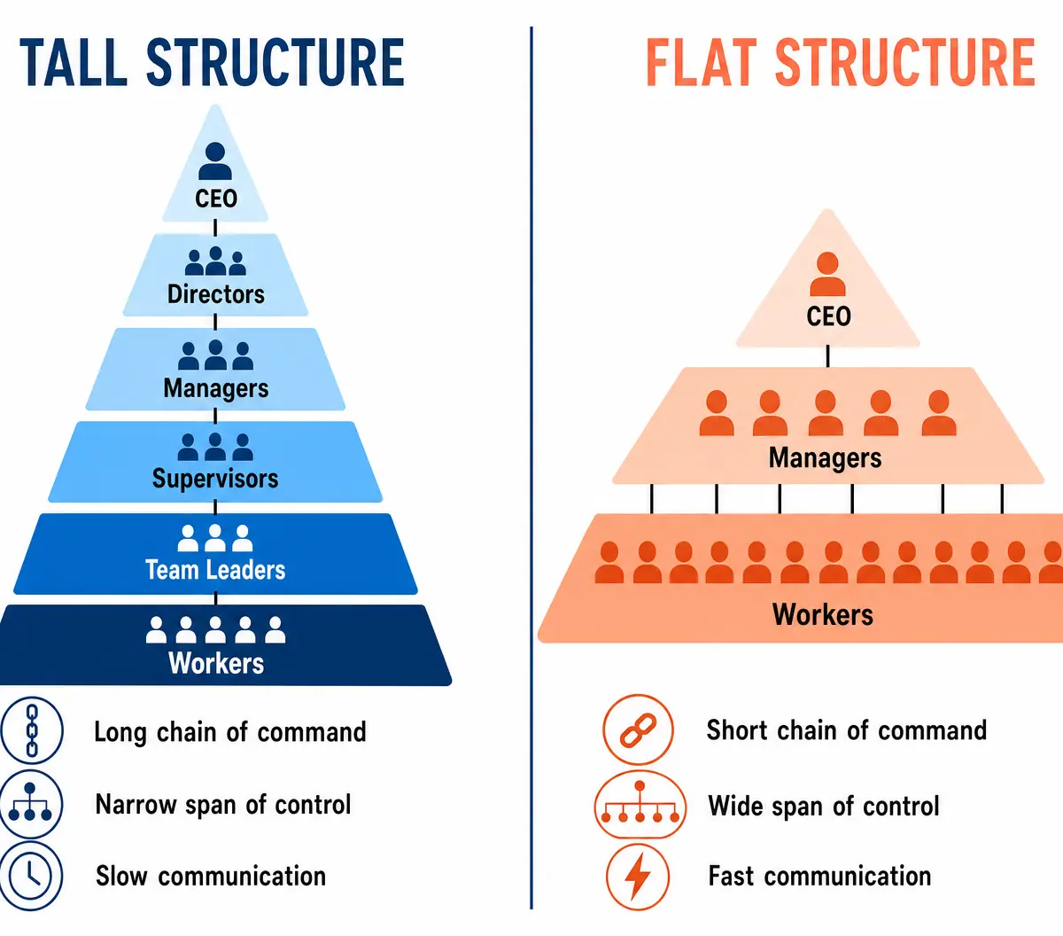 Tall vs Flat Organisational Structures
