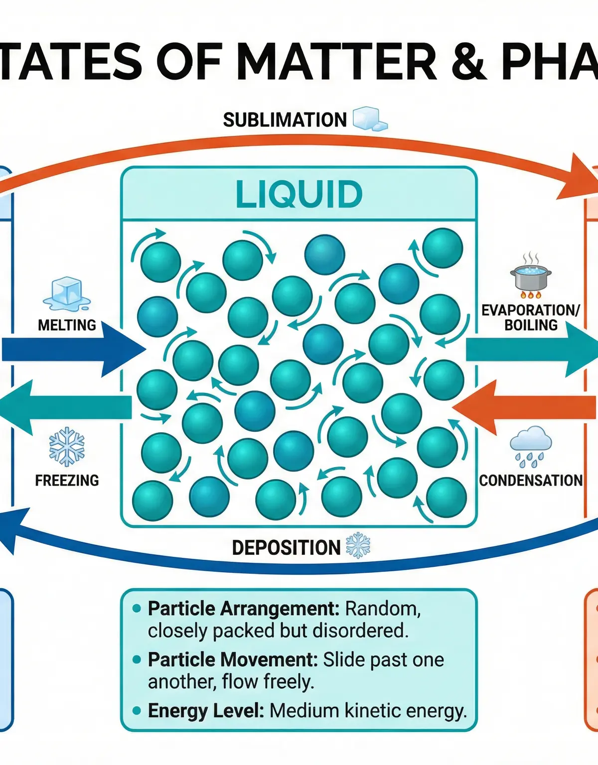 The three states of matter and the transitions between them.