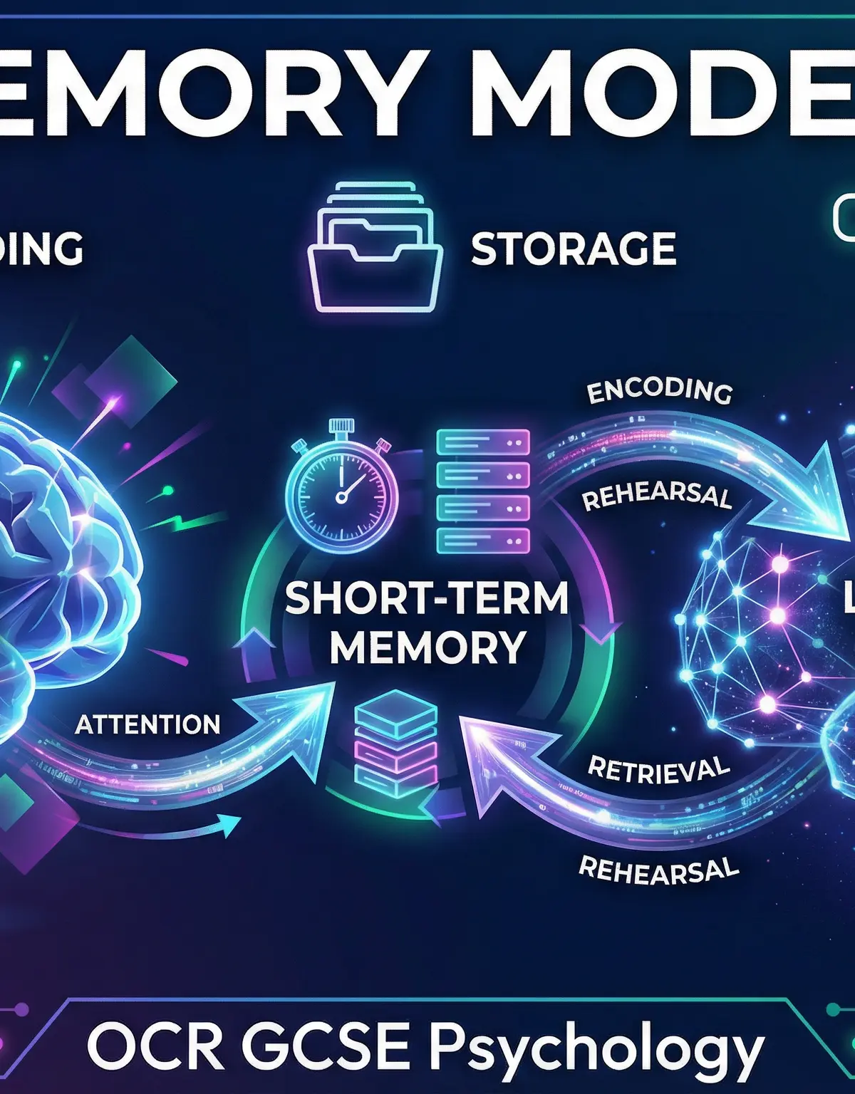 Header image for OCR GCSE Psychology: Memory Models