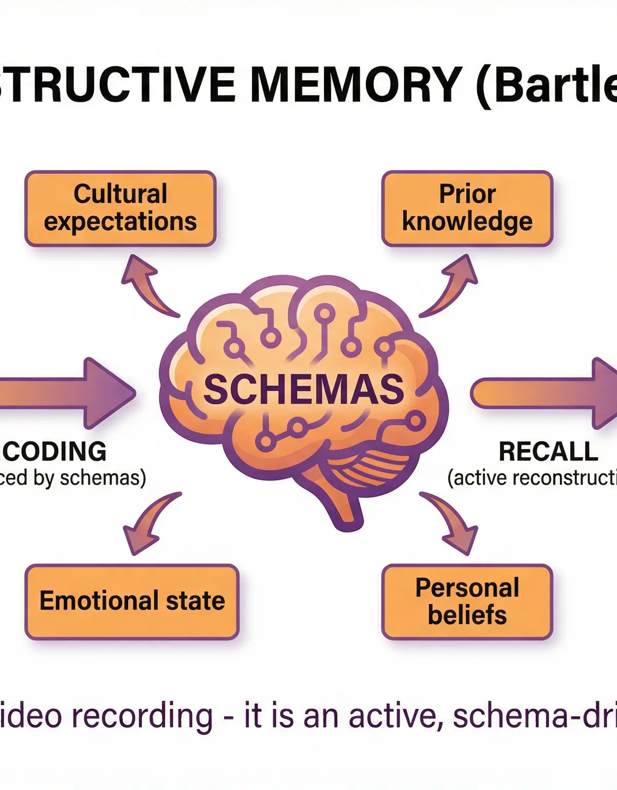 The Theory of Reconstructive Memory (Bartlett, 1932)