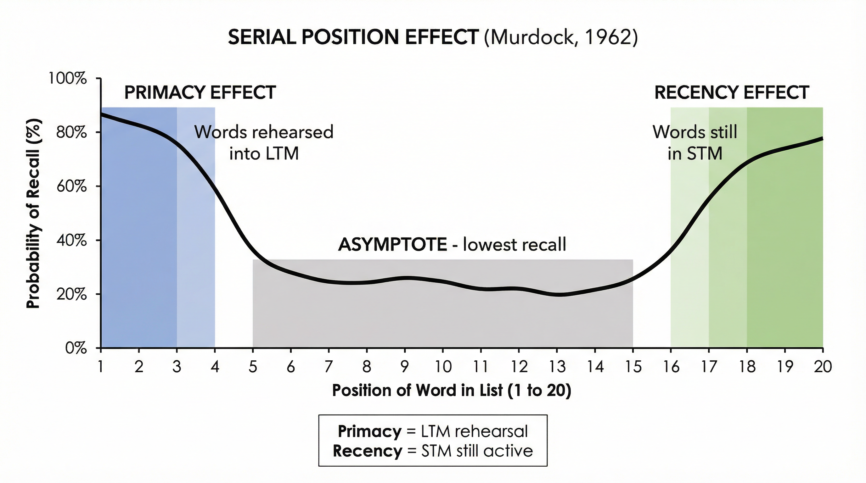 The Serial Position Effect (Murdock, 1962)