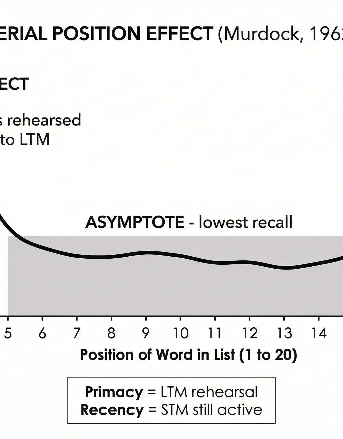 The Serial Position Effect (Murdock, 1962)