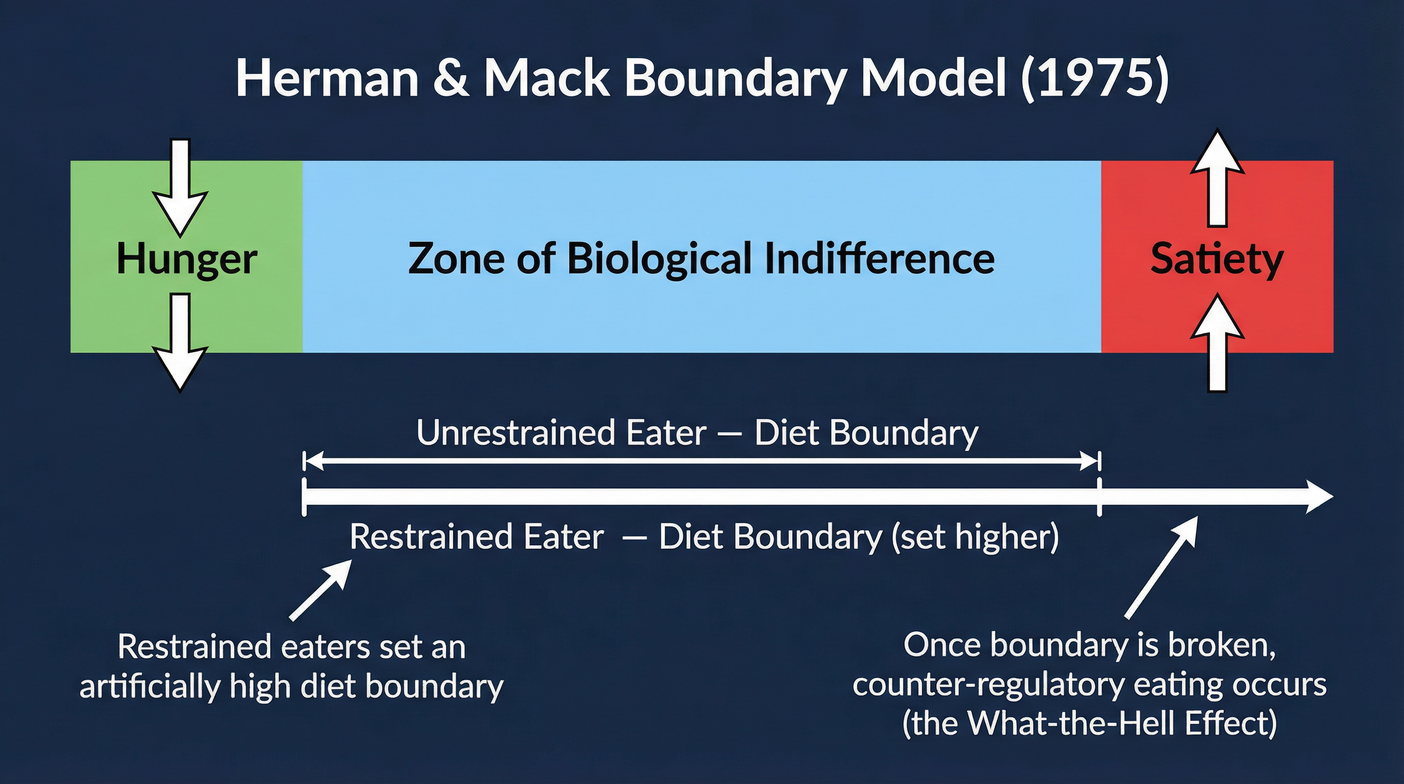 The Boundary Model (1975)