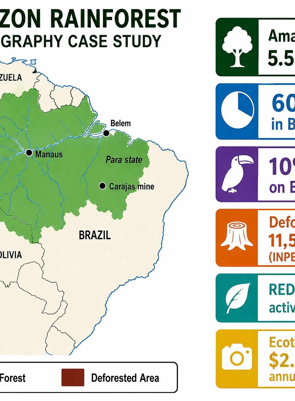 The Amazon Rainforest Case Study