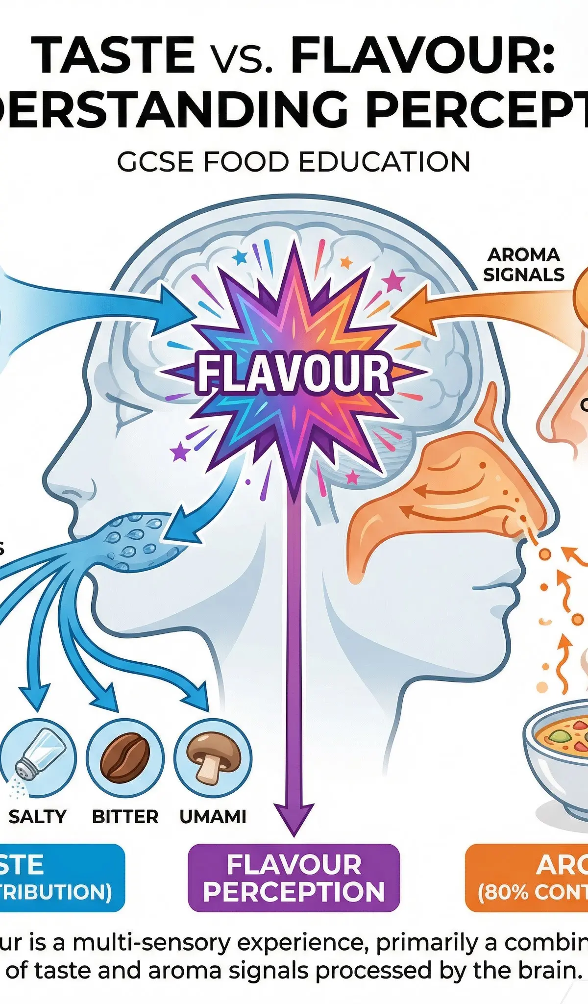Flavour is a multi-sensory experience, with aroma contributing 80% to our perception.