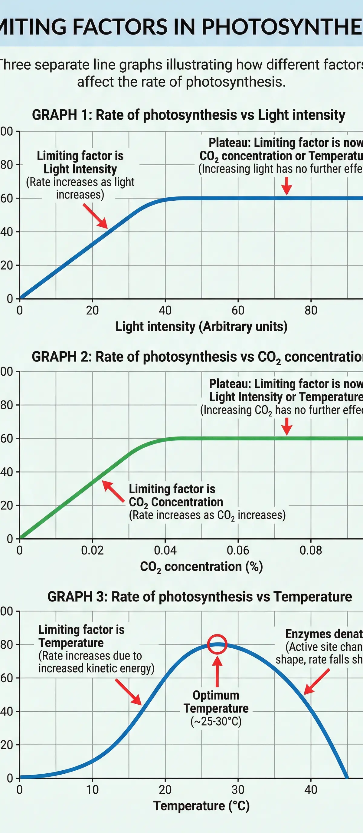 Graphs showing how light, CO₂, and temperature can be limiting factors.