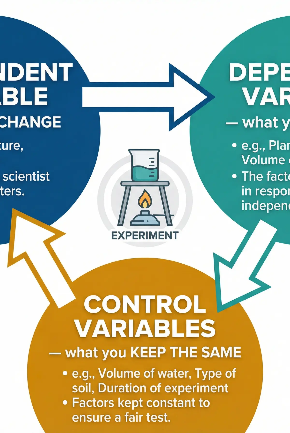 Independent, Dependent, and Control Variables