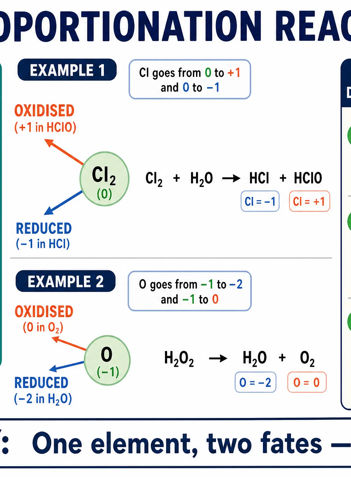 Understanding Disproportionation Reactions