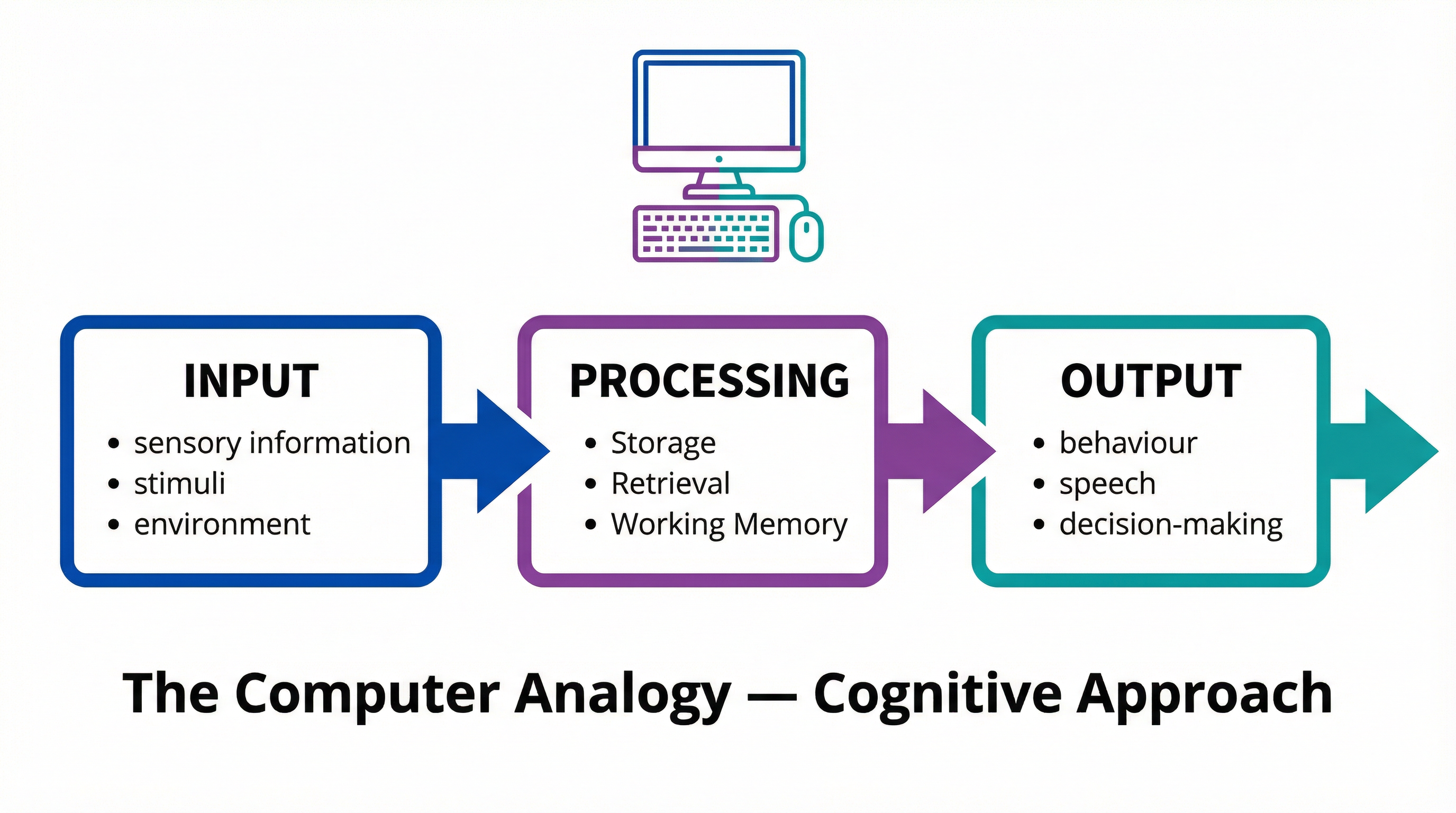 Cognitive Approach – Psychology – A-Level